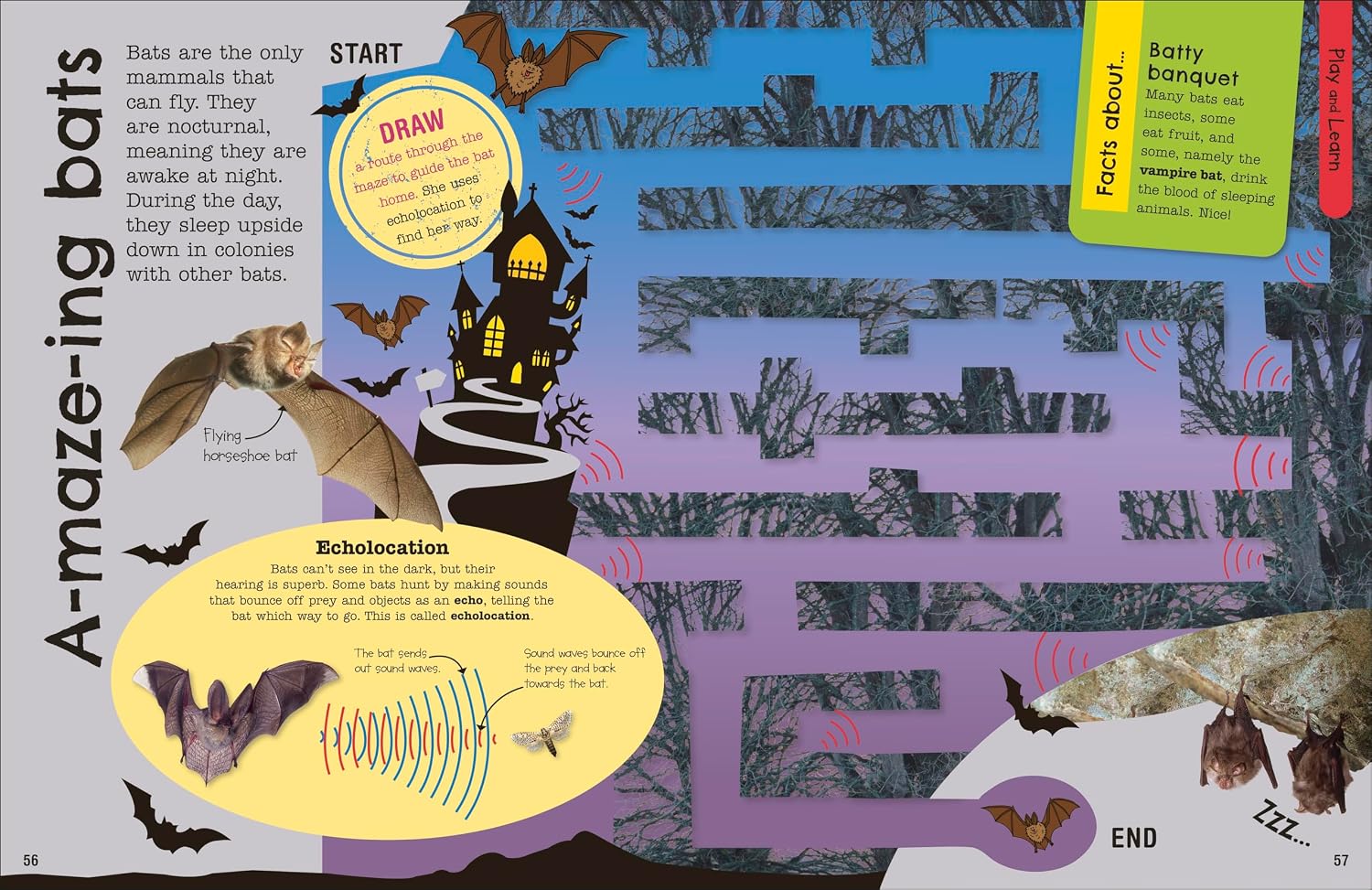 Back cover of The Fact-Packed Activity Book: Animals by DK, paperback edition