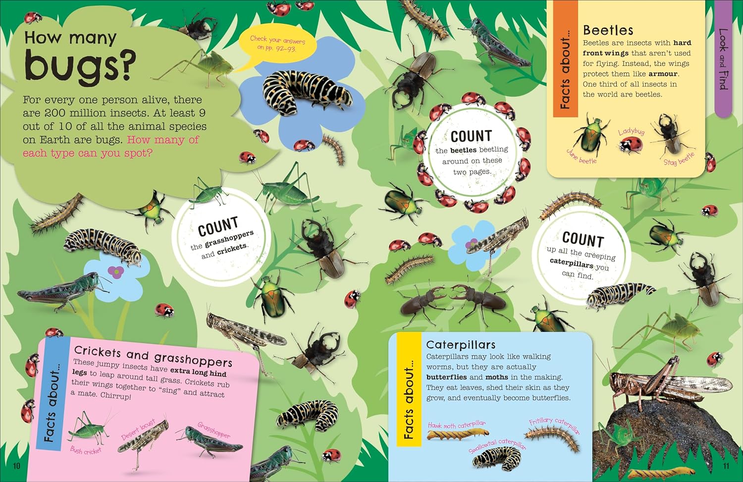 Activity page from The Fact-Packed Activity Book: Animals with quizzes and mazes
