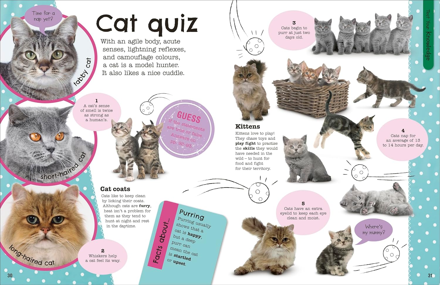Fact-filled spread from The Fact-Packed Activity Book: Animals featuring wild animals