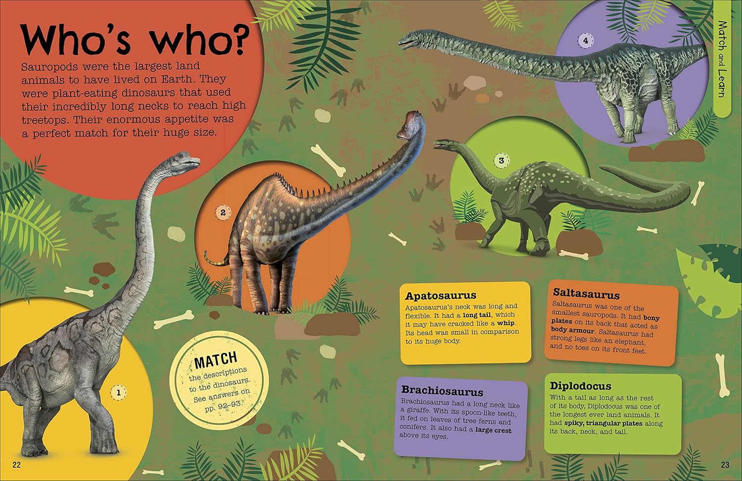 Dinosaur quiz and puzzle page from The Fact-Packed Activity Book: Dinosaurs, ages 5-9