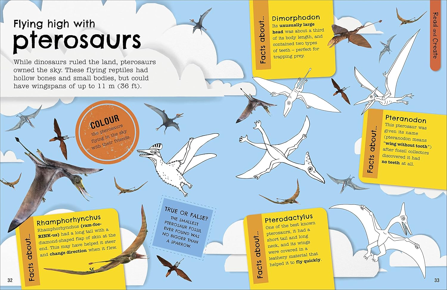 Illustrated dinosaur activity page from The Fact-Packed Activity Book: Dinosaurs by DK