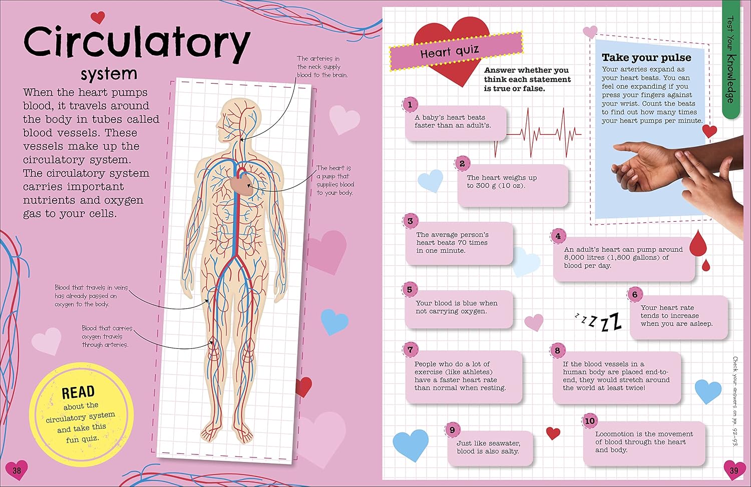 Fact-Packed Activity Book Human Body by DK - back cover with book description