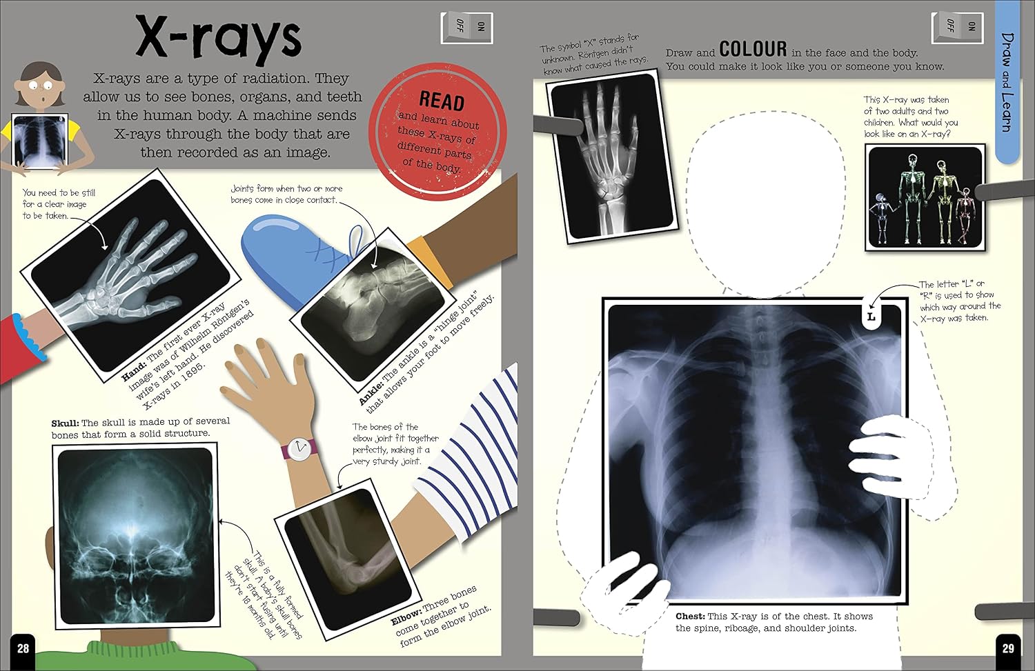 Fact-Packed Activity Book Human Body by DK - quiz and puzzle activity spread