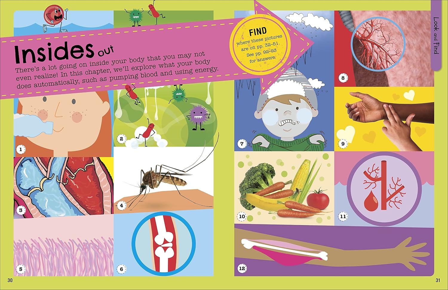 Fact-Packed Activity Book Human Body by DK - senses and body facts activity spread