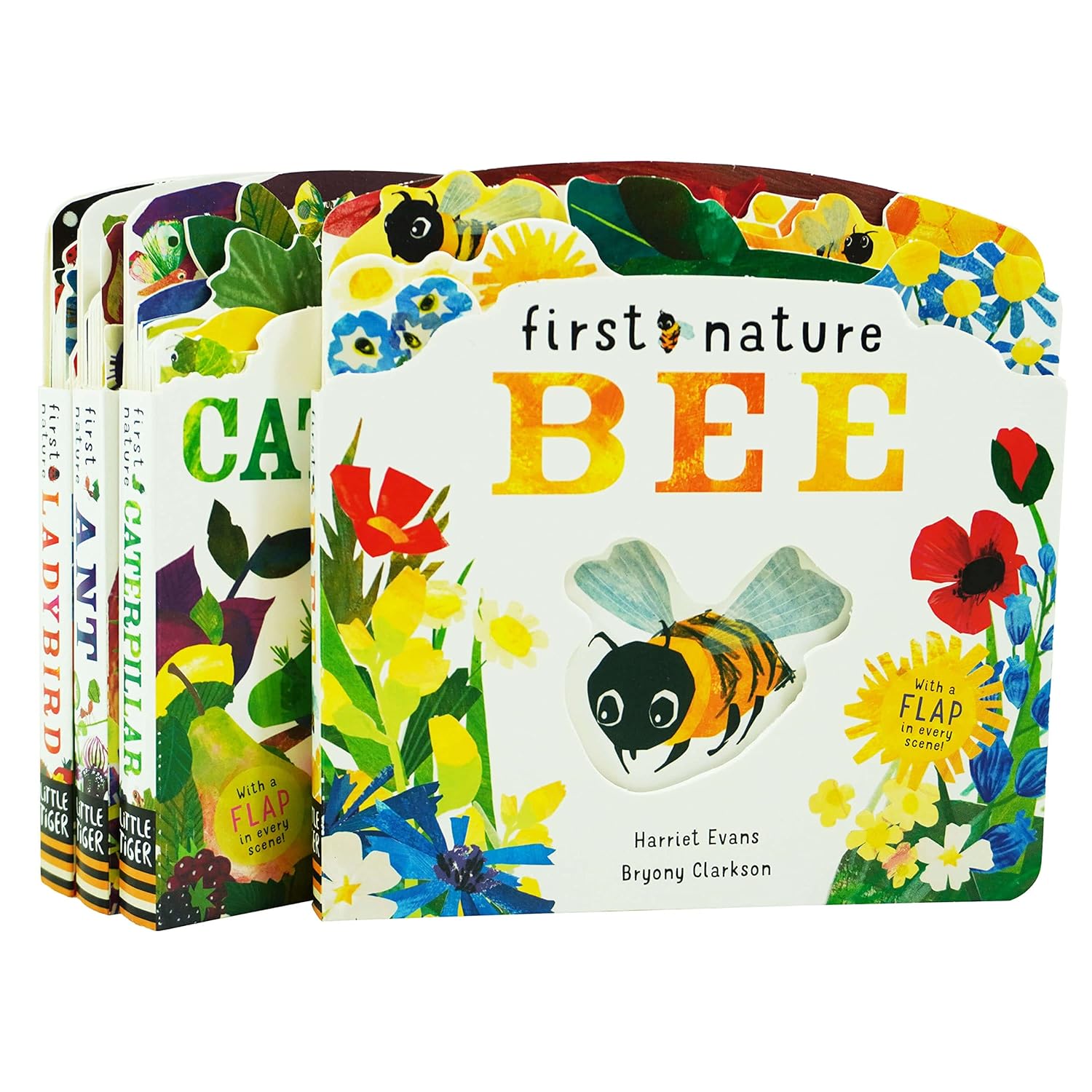First Nature 4 Books Collection Set by Harriet Evans - Ant, Bee, Caterpillar & Ladybird - Board Books for Ages 0-5