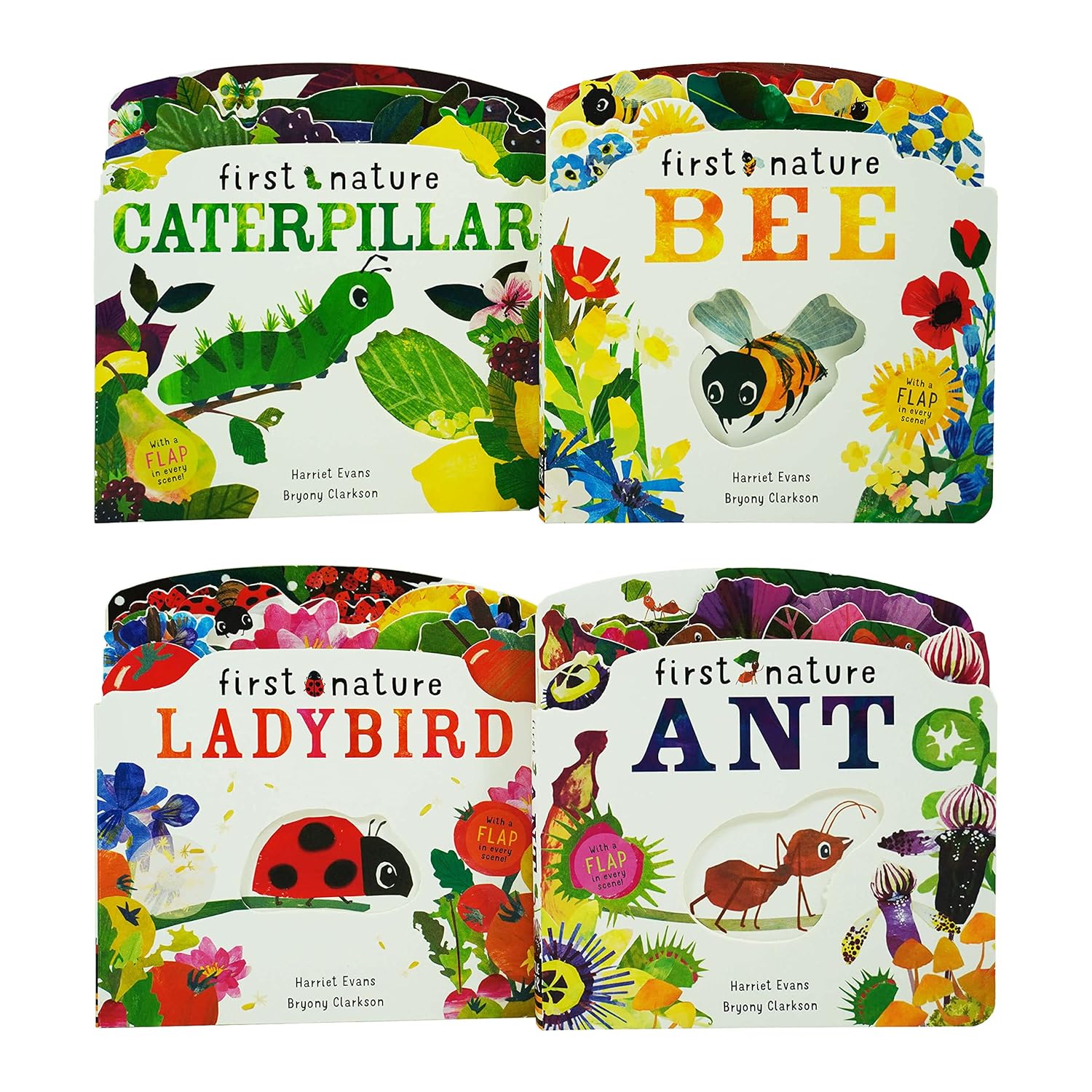 First Nature board book set covers showing Ant, Bee, Caterpillar and Ladybird by Harriet Evans