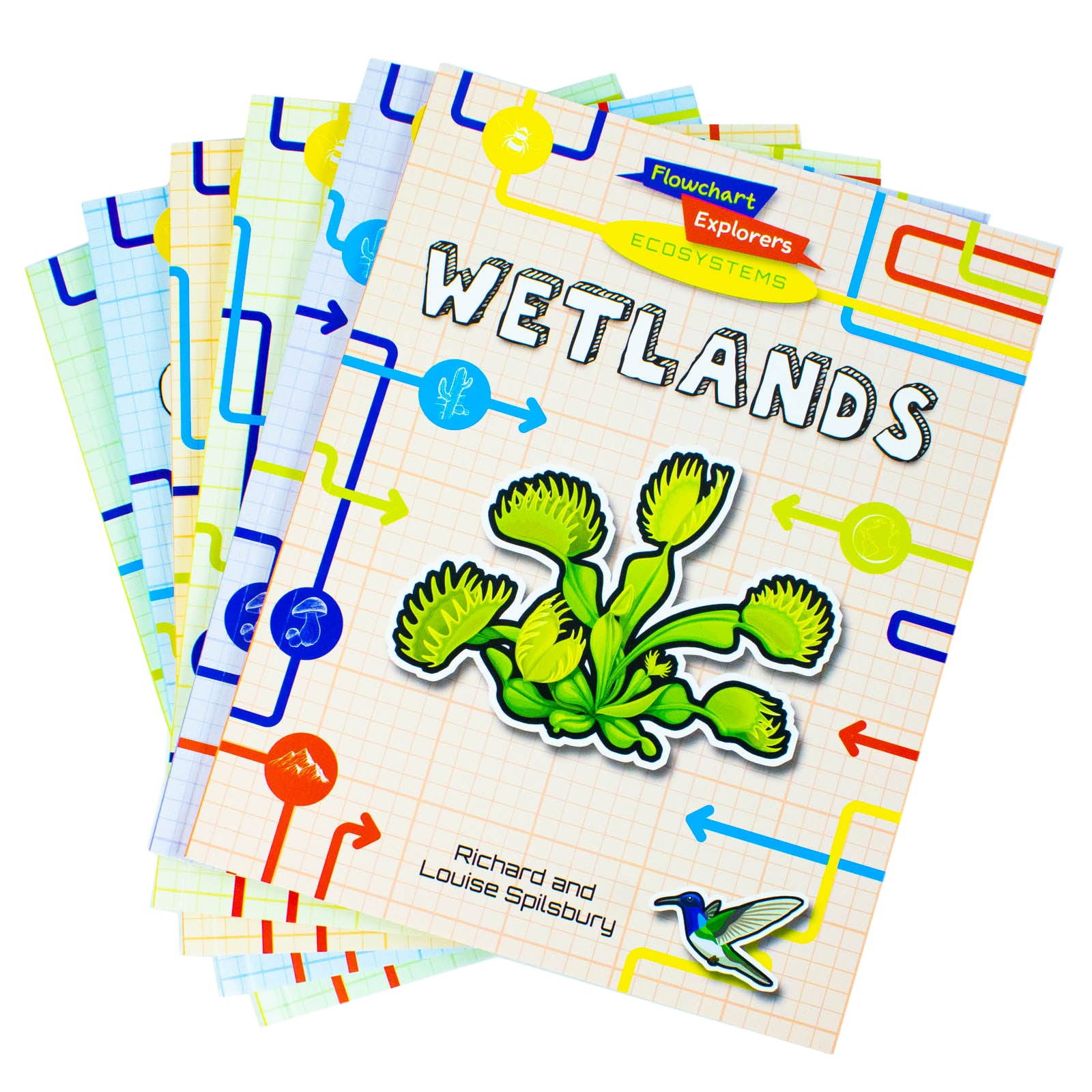 Flowchart Explorers Ecosystems books stacked - Deserts, Grasslands, Mountains, Oceans, Rain Forests, Wetlands - Paperback