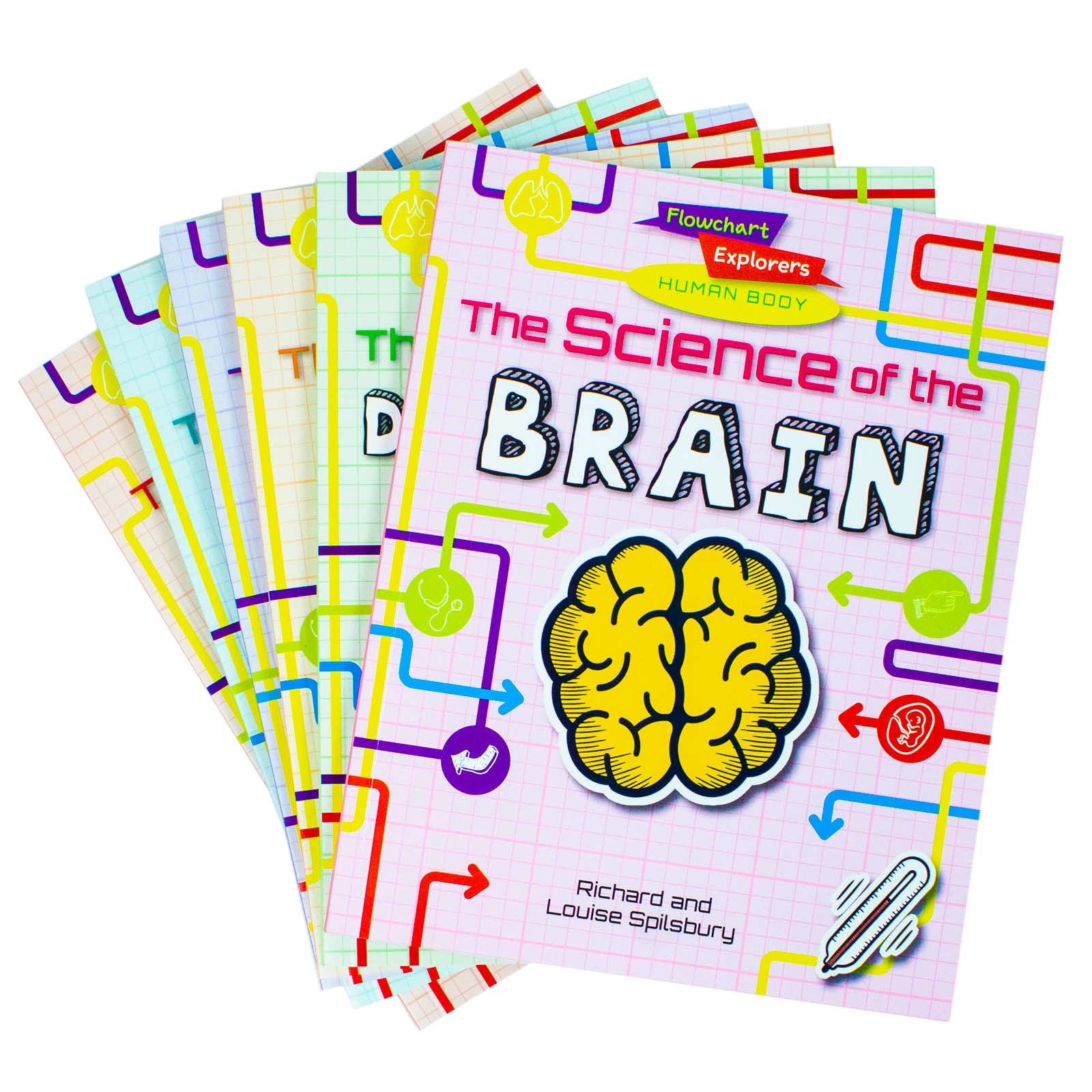 Flowchart Explorers Human Body set - Digestive book cover - paperback STEM science book for ages 7-11