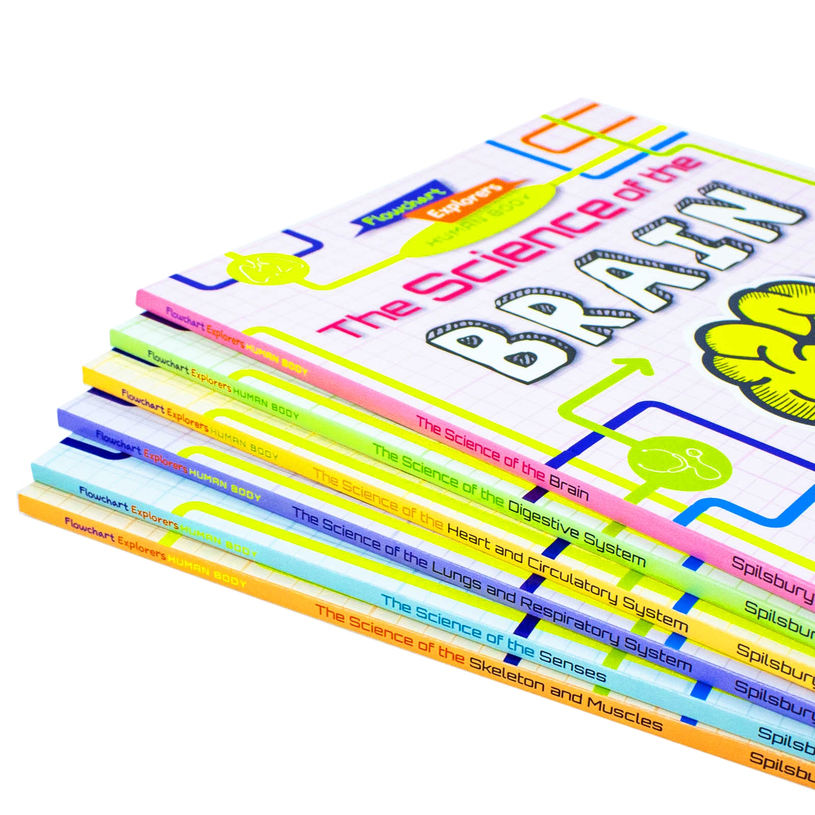 Flowchart Explorers Human Body set - Senses and Skeleton book covers - paperback STEM science books for ages 7-11