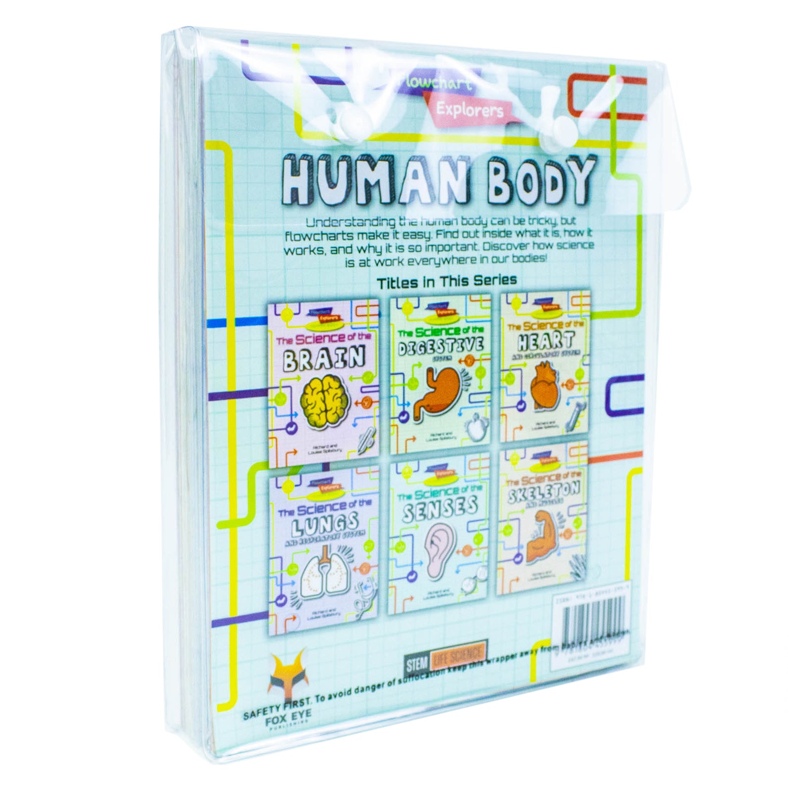 Flowchart Explorers Human Body 6 Book Set - inside flowchart diagram pages showing human anatomy for KS2 ages 7-11