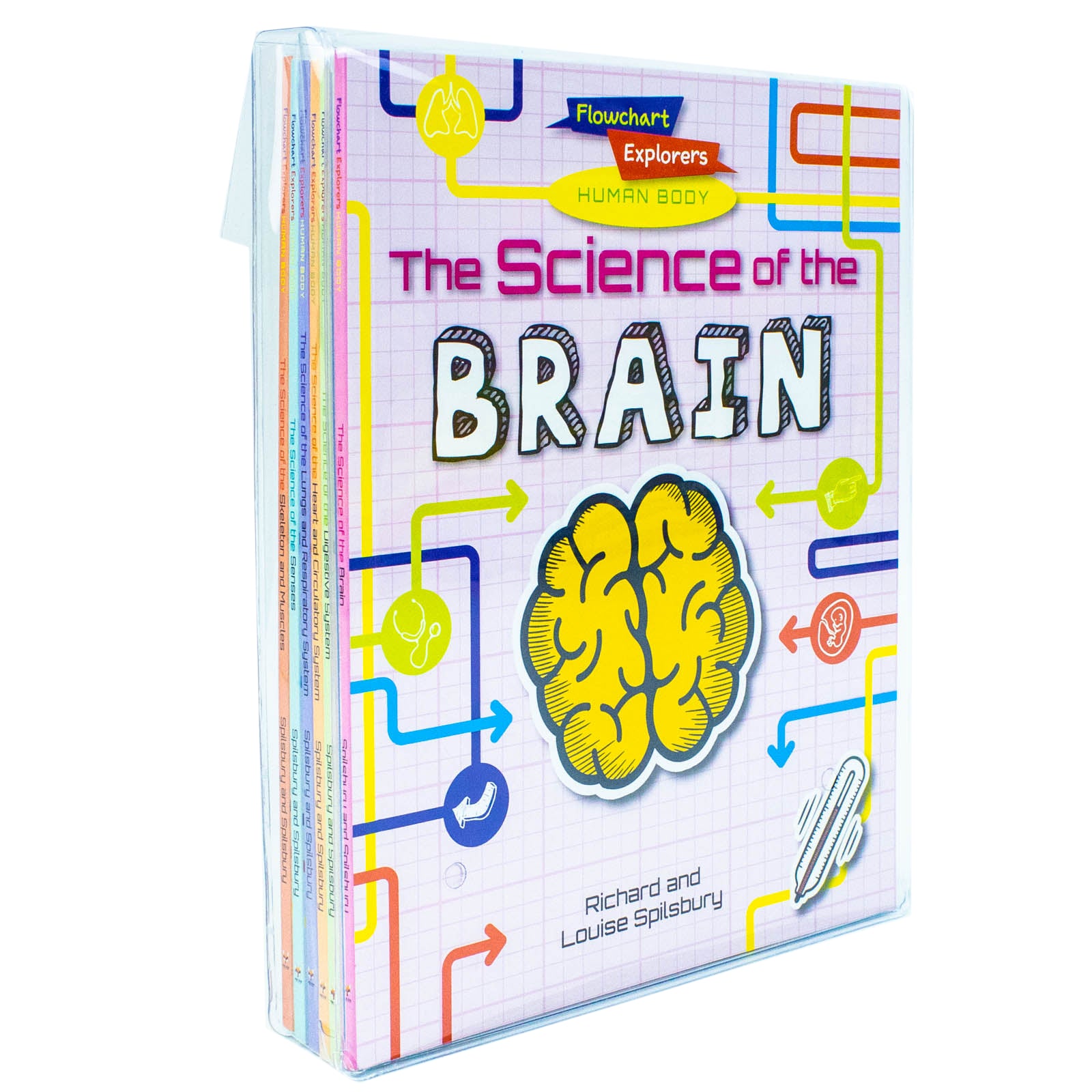 Flowchart Explorers Human Body STEM 6 Science Books Set by Richard and Louise Spilsbury - Paperback - Ages 7-11 - Brain, Digestive, Heart, Lungs, Senses, Skeleton