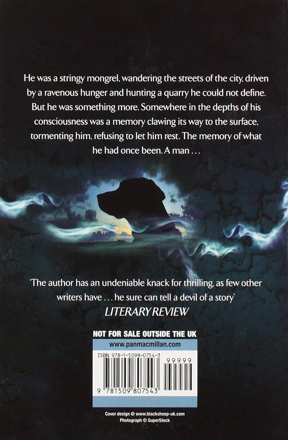 Fluke by James Herbert paperback book, back cover and blurb, ISBN 9781509807543