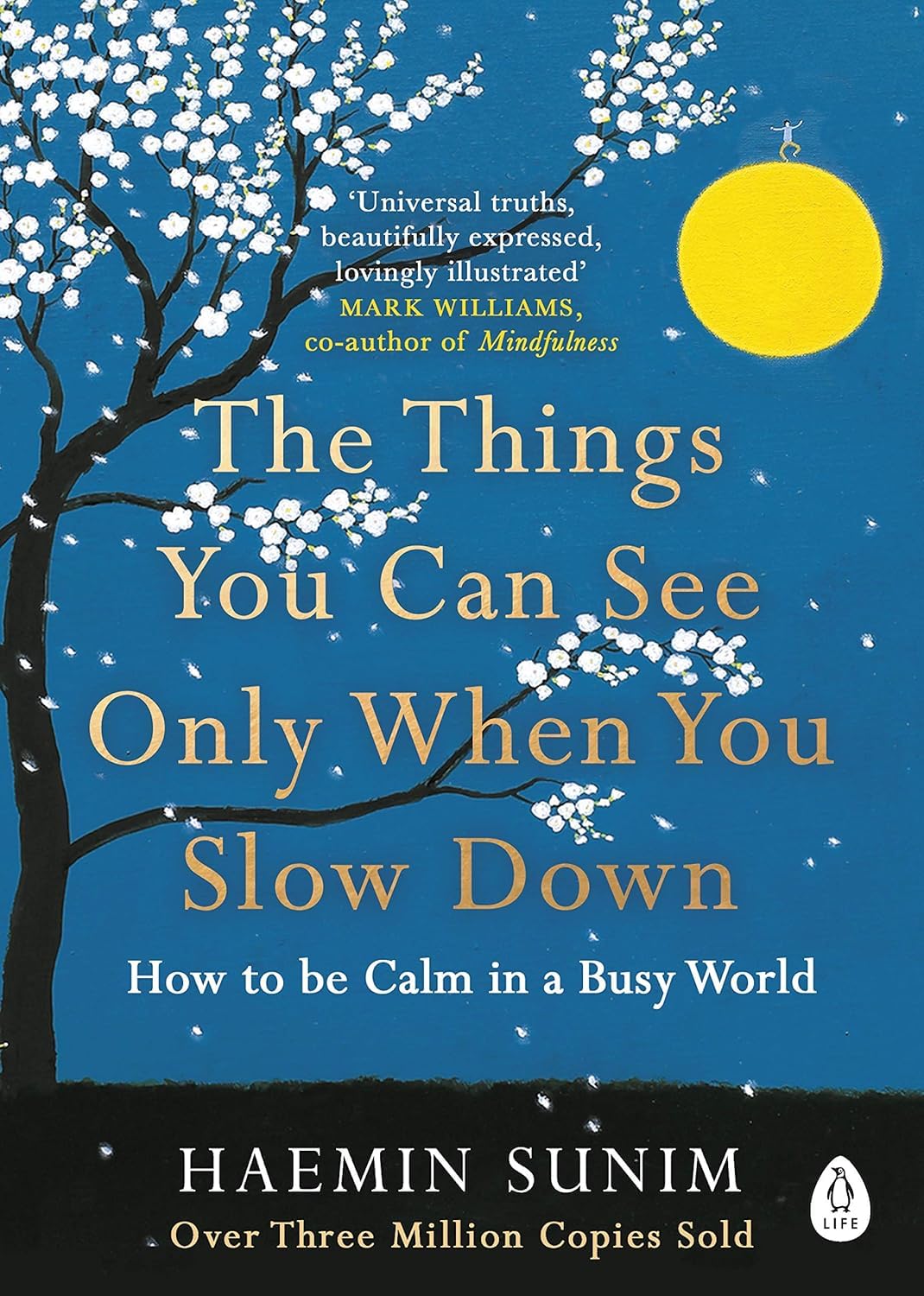 The Things You Can See Only When You Slow Down by Haemin Sunim paperback book cover