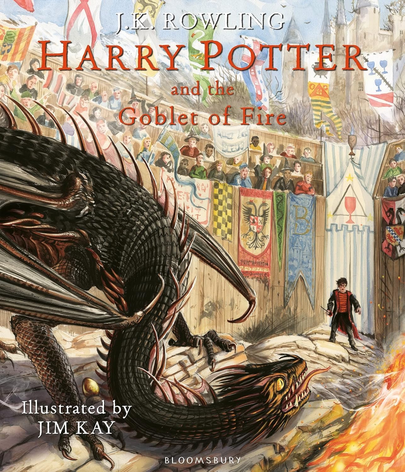 Harry Potter and the Order of the Phoenix Illustrated Edition Paperback Cover by J.K. Rowling, illustrated by Jim Kay and Neil Packer