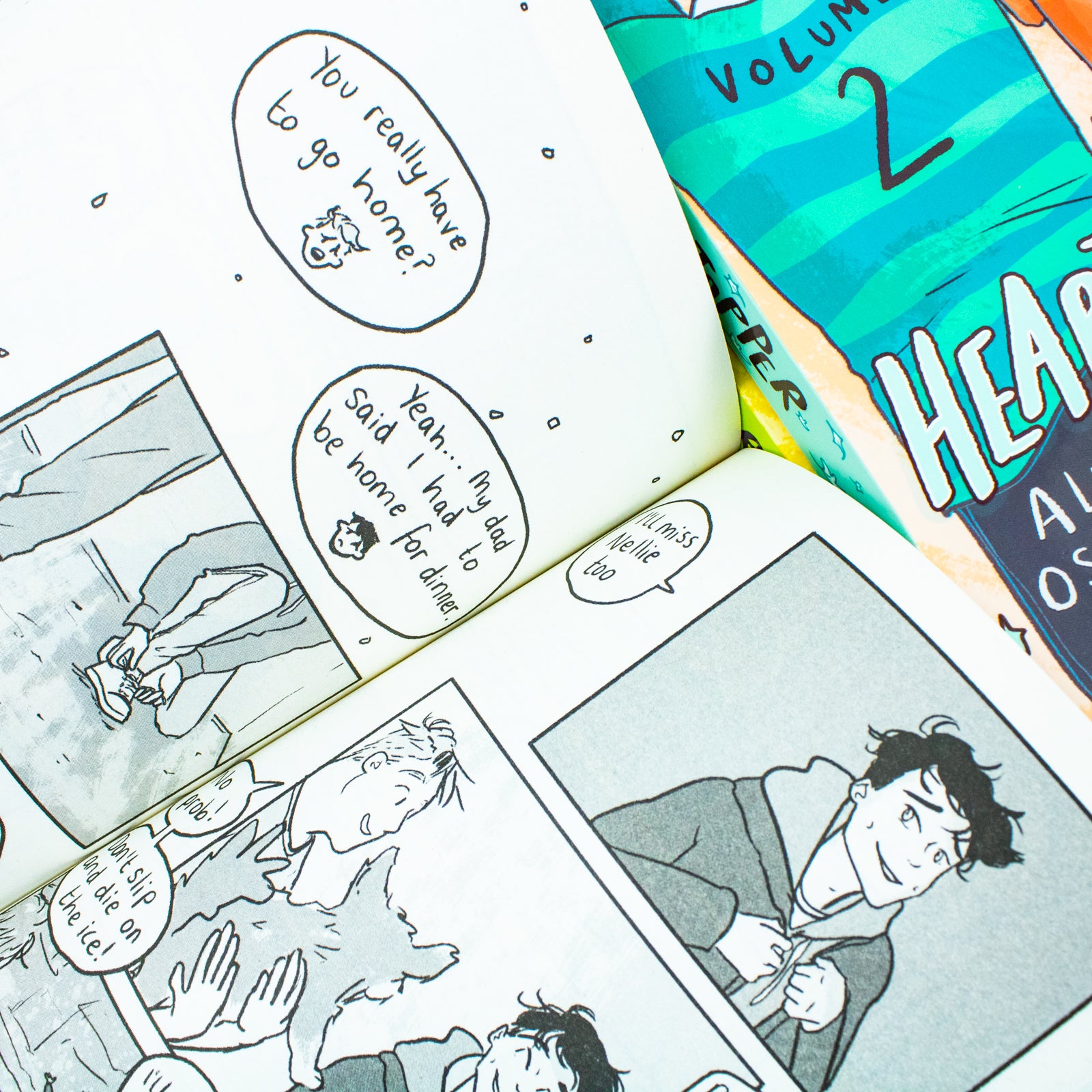 Heartstopper Volumes 1-3 Collection Set - close-up detail of Alice Oseman's paperback graphic novel box set