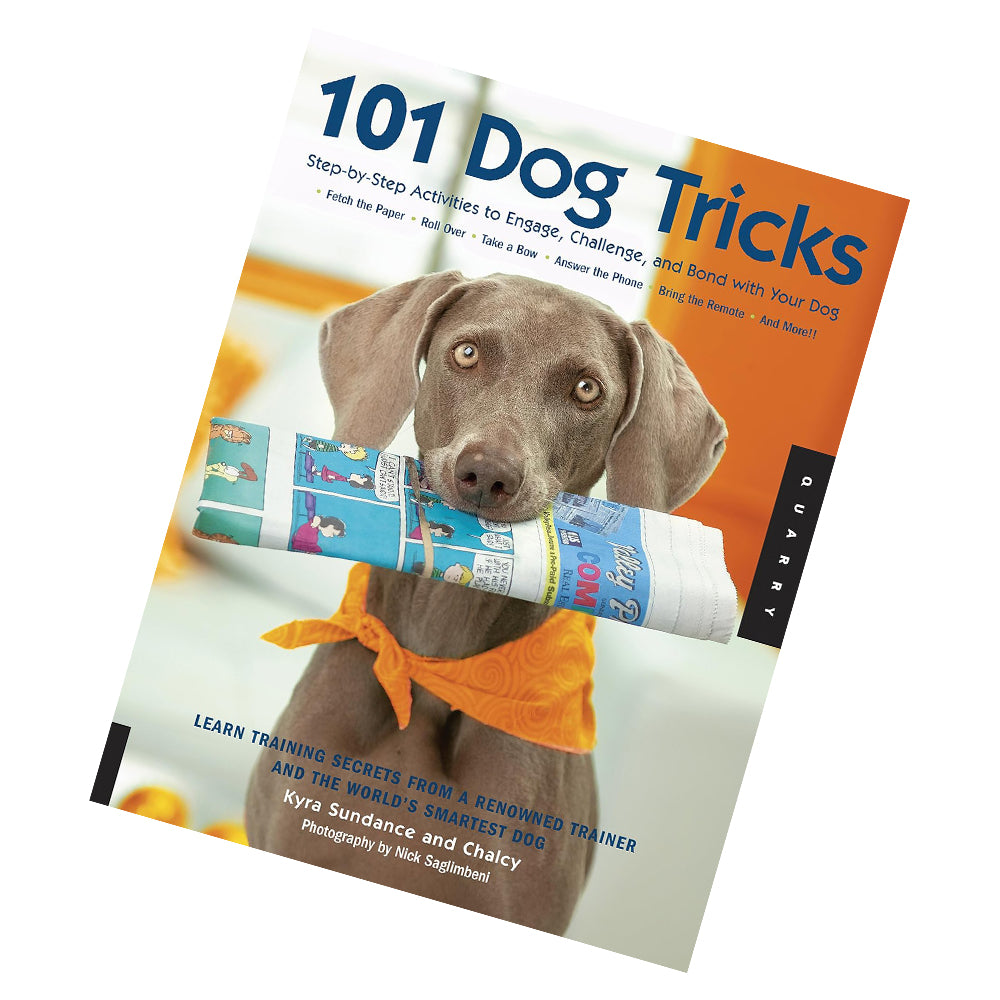 101 Dog Tricks Step by Step Activities to Engage, Challenge By Kyra Sundance Paperback - Lets Buy Books