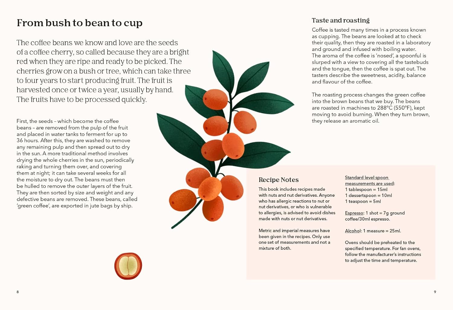 How to Drink Coffee by Sarah Ford - inside page showing coffee bean and brewing tips