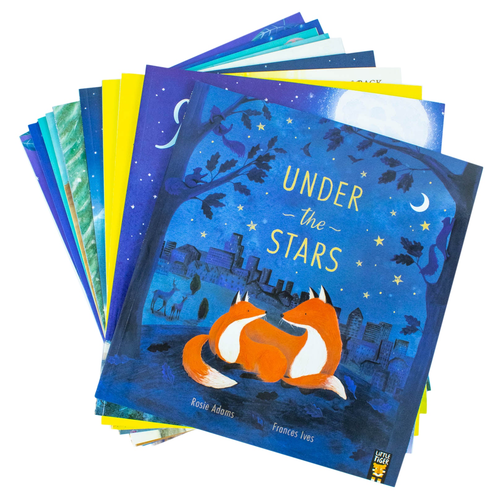 I Love You Series children's picture book set - 10 paperback titles shown together