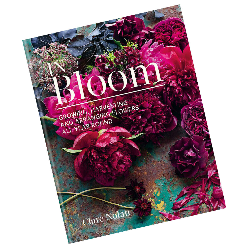 In Bloom by Clare Nolan hardback gardening book - back cover with synopsis