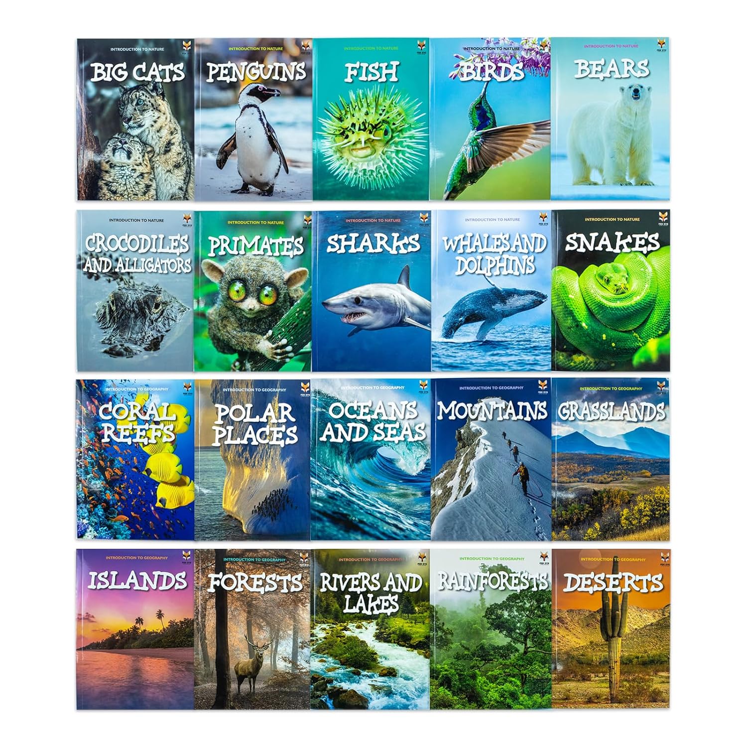 Introduction to Nature and Geography 20 Book Collection Set - Fox Eye Publishing paperback books stacked