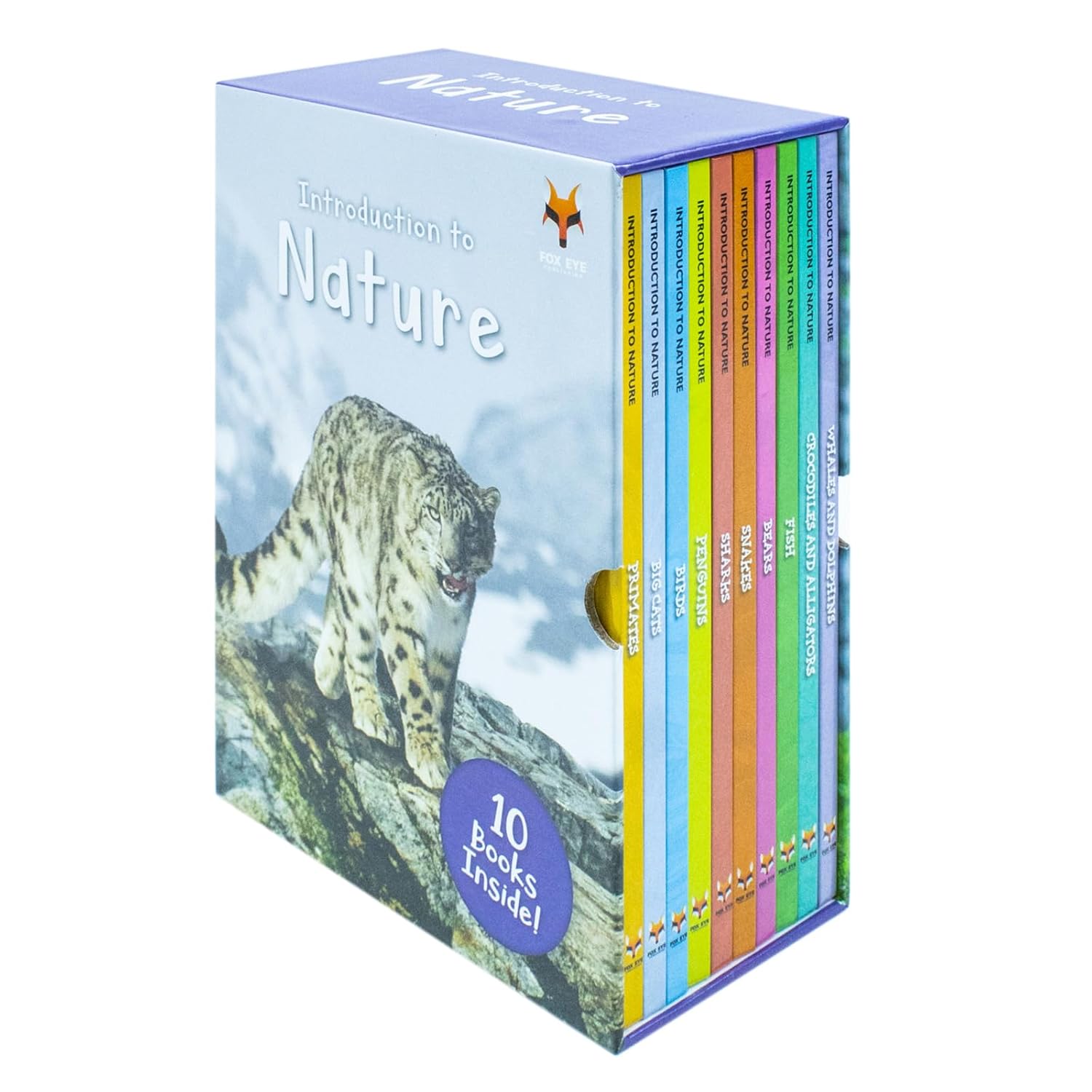 Introduction to Nature for Beginners hardback set - Introduction to Bears and Introduction to Big Cats books