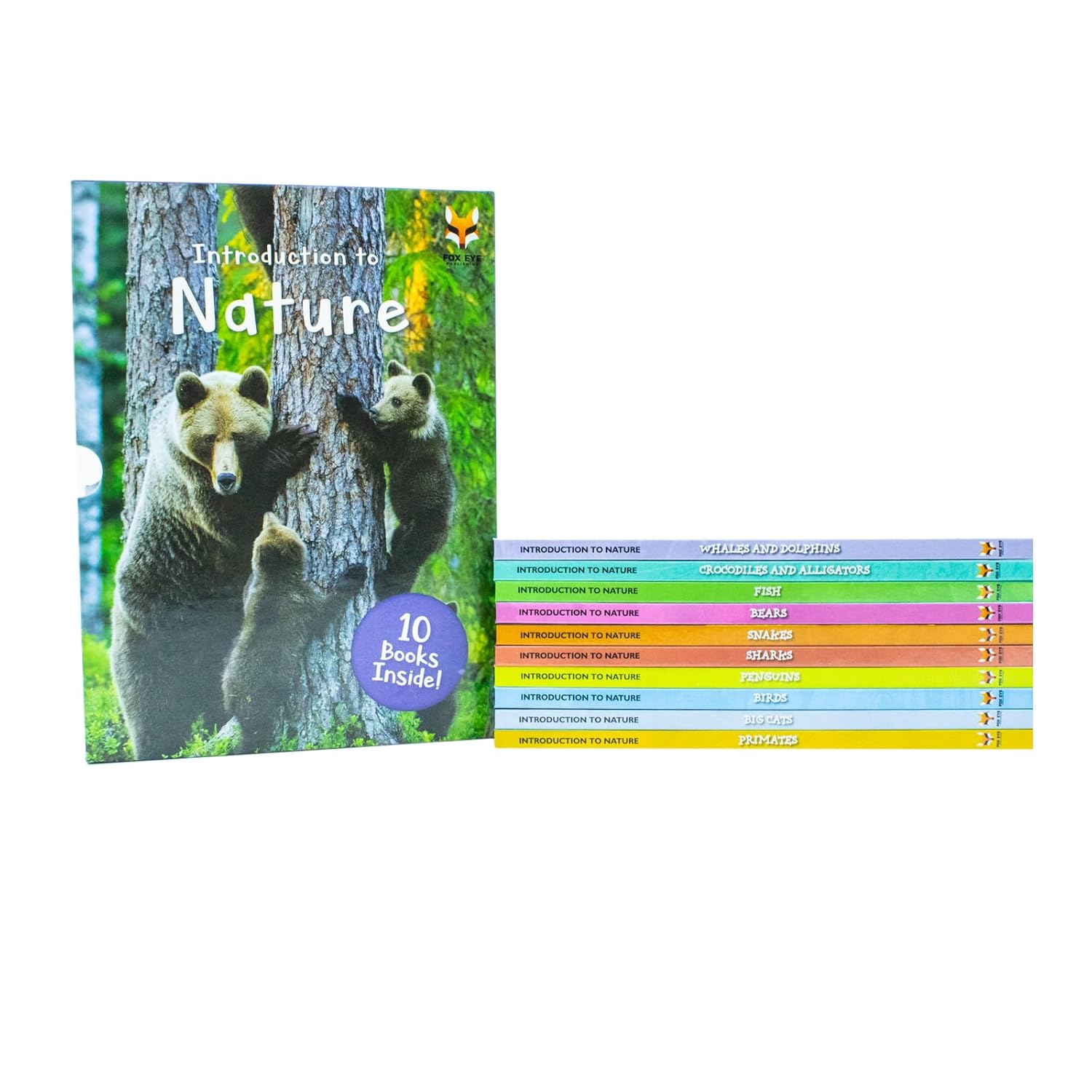 Introduction to Nature for Beginners hardback set - Introduction to Birds and Introduction to Crocodiles and Alligators books