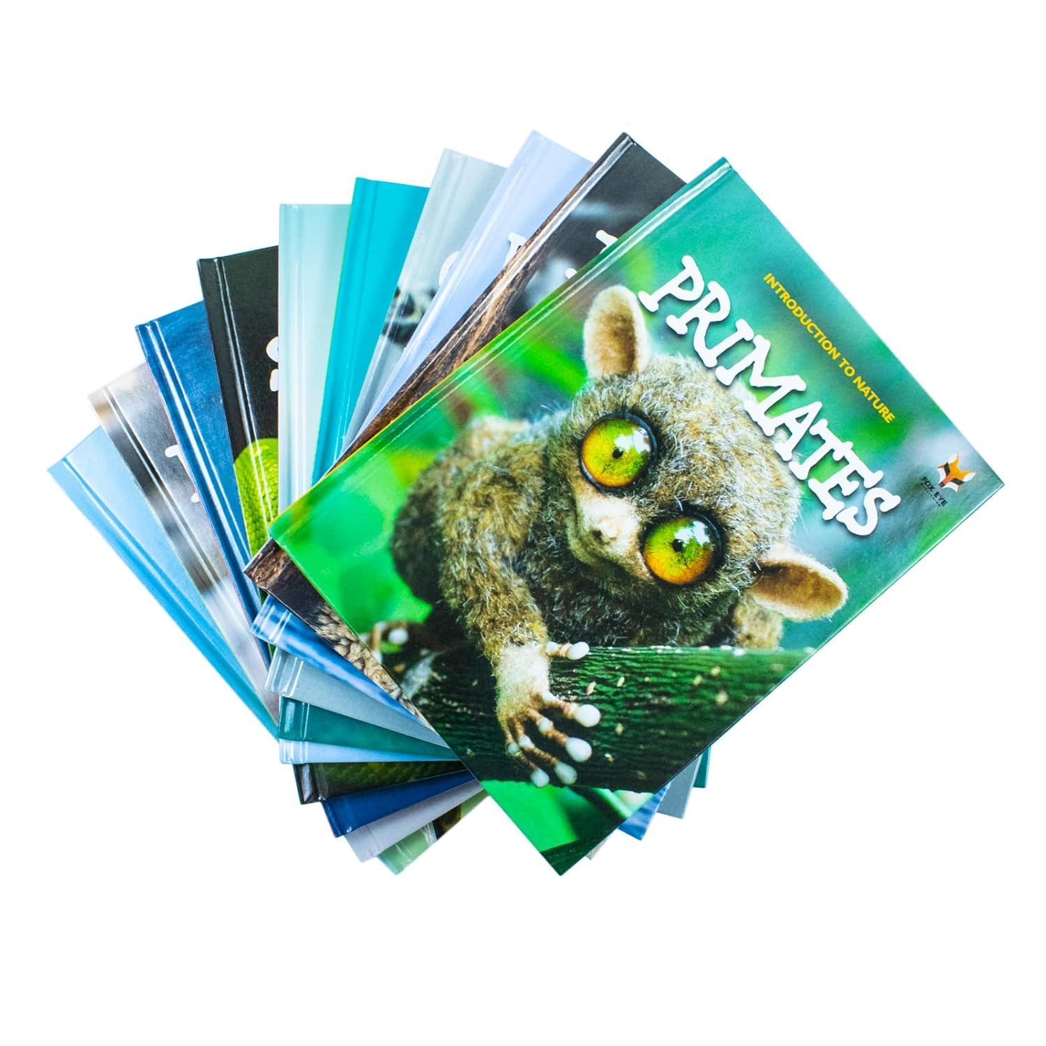 Introduction to Nature for Beginners by Jasmine Brooke hardback book - illustrated inside pages for toddlers