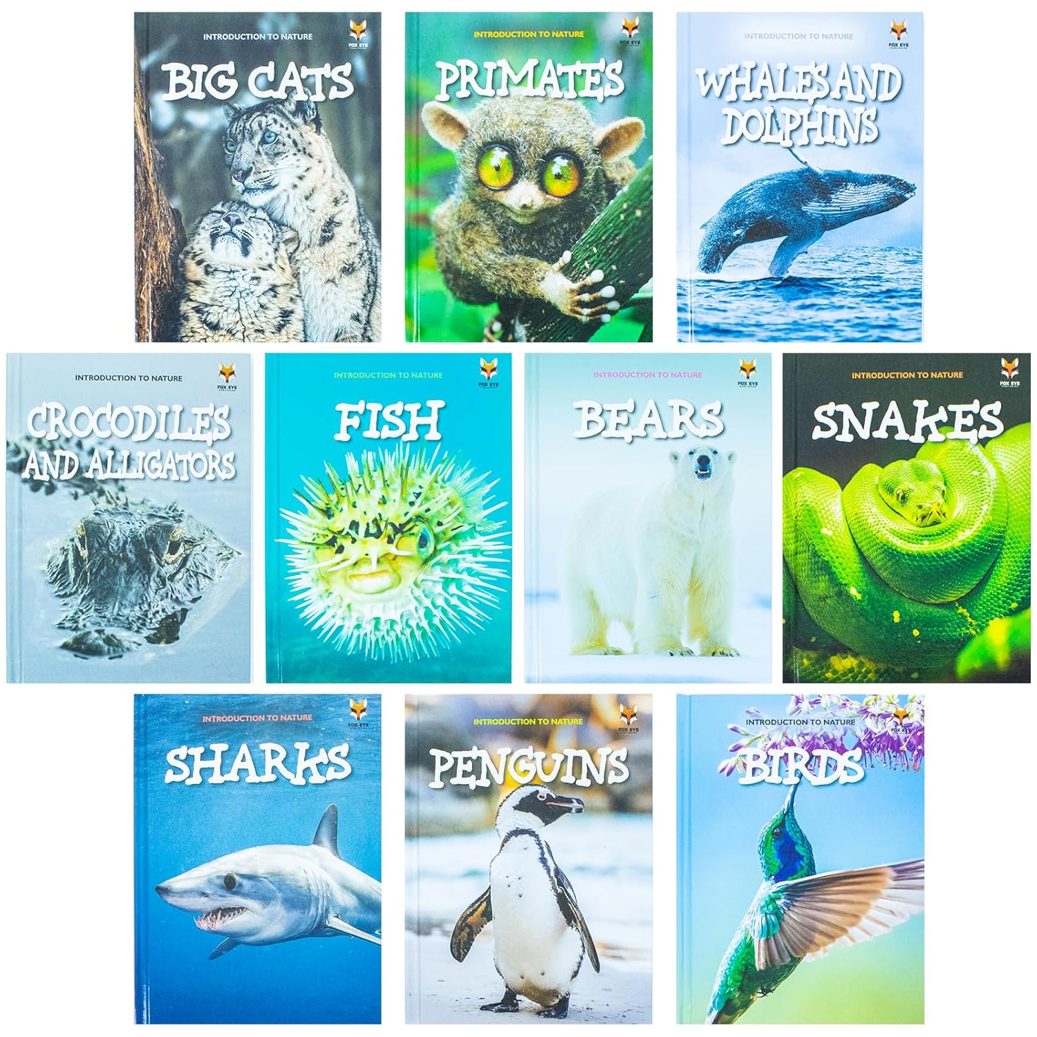 Introduction to Nature for Beginners hardback set - Introduction to Primates and Introduction to Sharks books