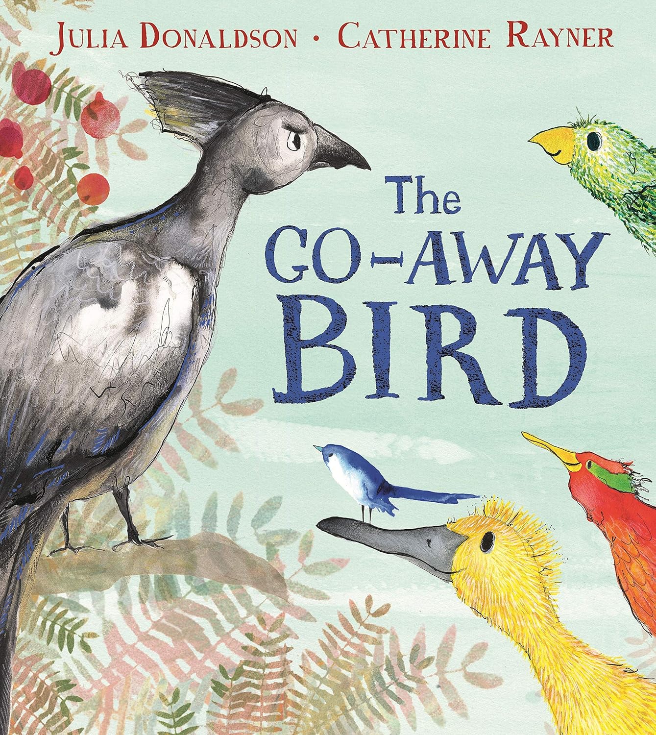 The Flying Bath by Julia Donaldson paperback cover - part of the 4 Books Collection Set for ages 3-6