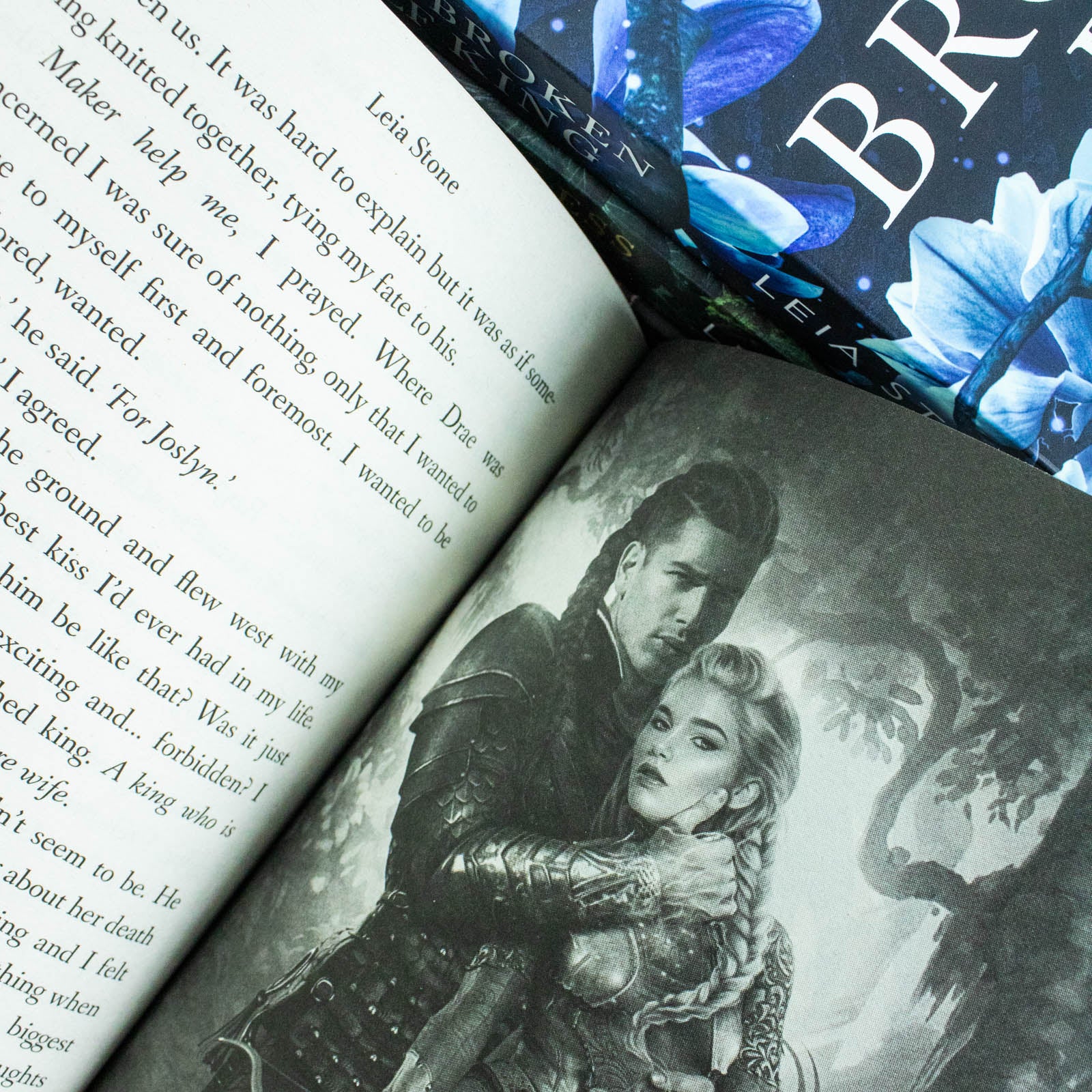 Kings of Avalier 4 books collection set by Leia Stone - stacked paperback set overview