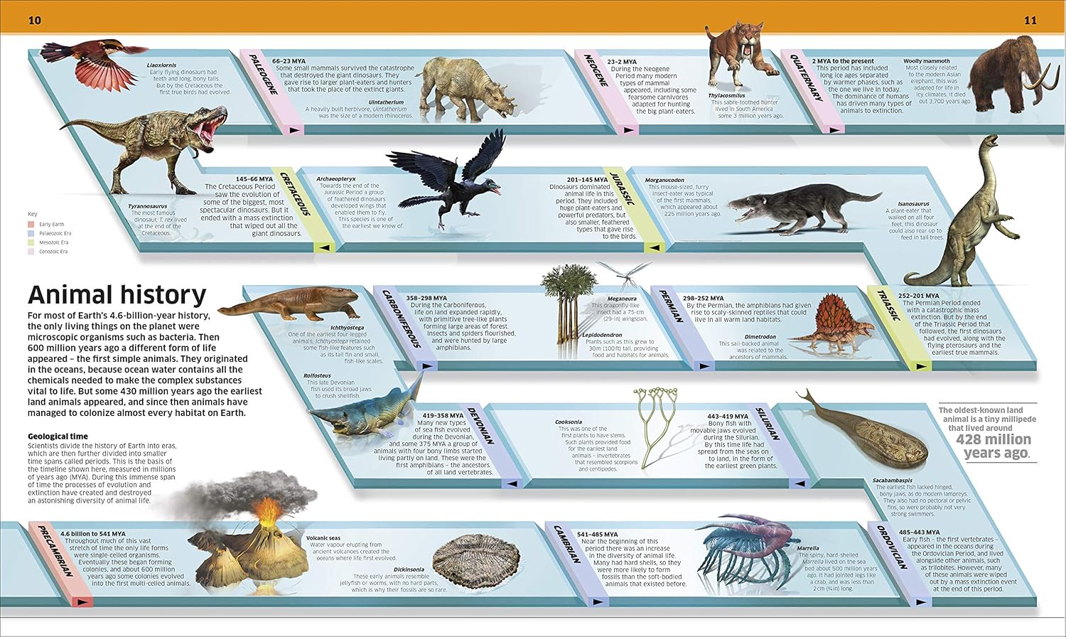 Knowledge Encyclopedia: Animal! illustrated species page with detailed CGI imagery