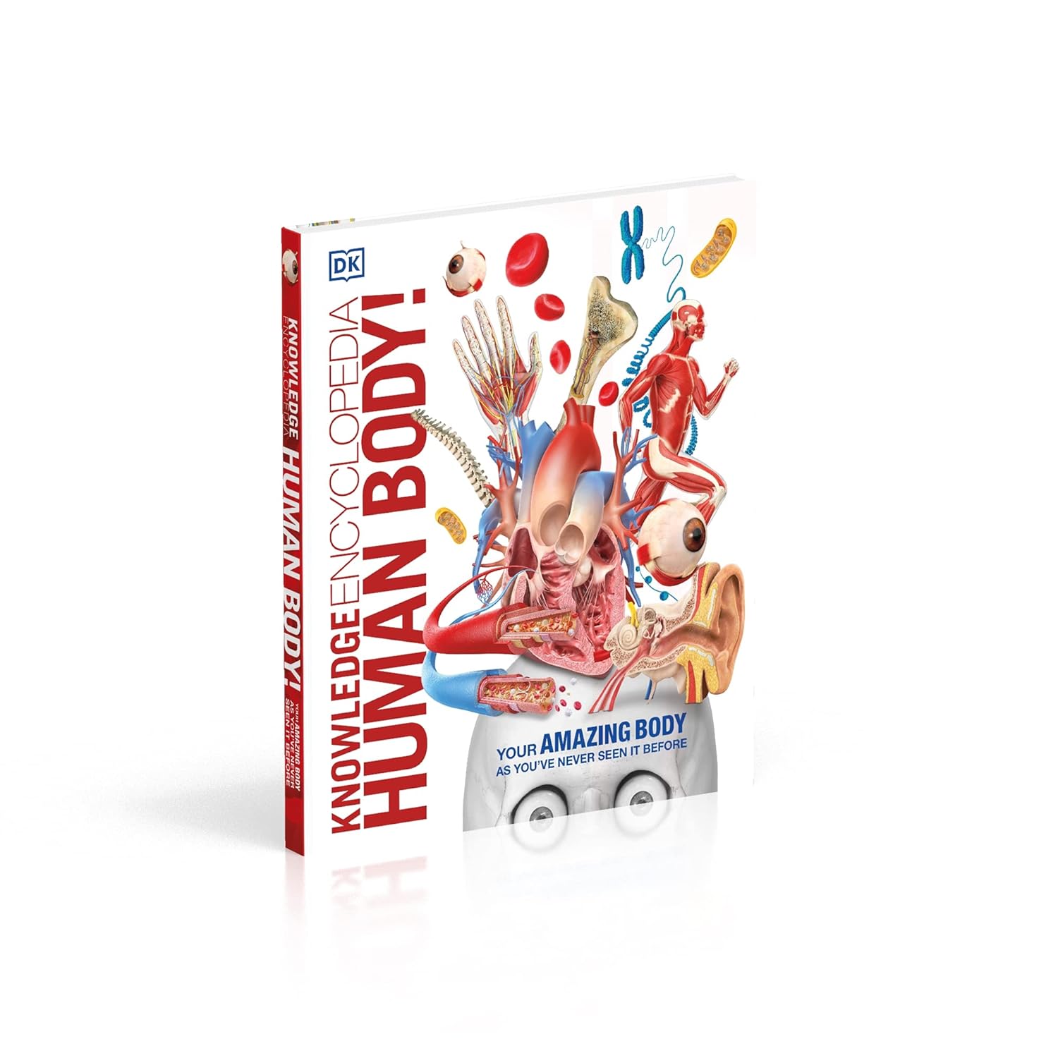 Knowledge Encyclopedia Human Body! by DK - detailed anatomy diagrams and infographics