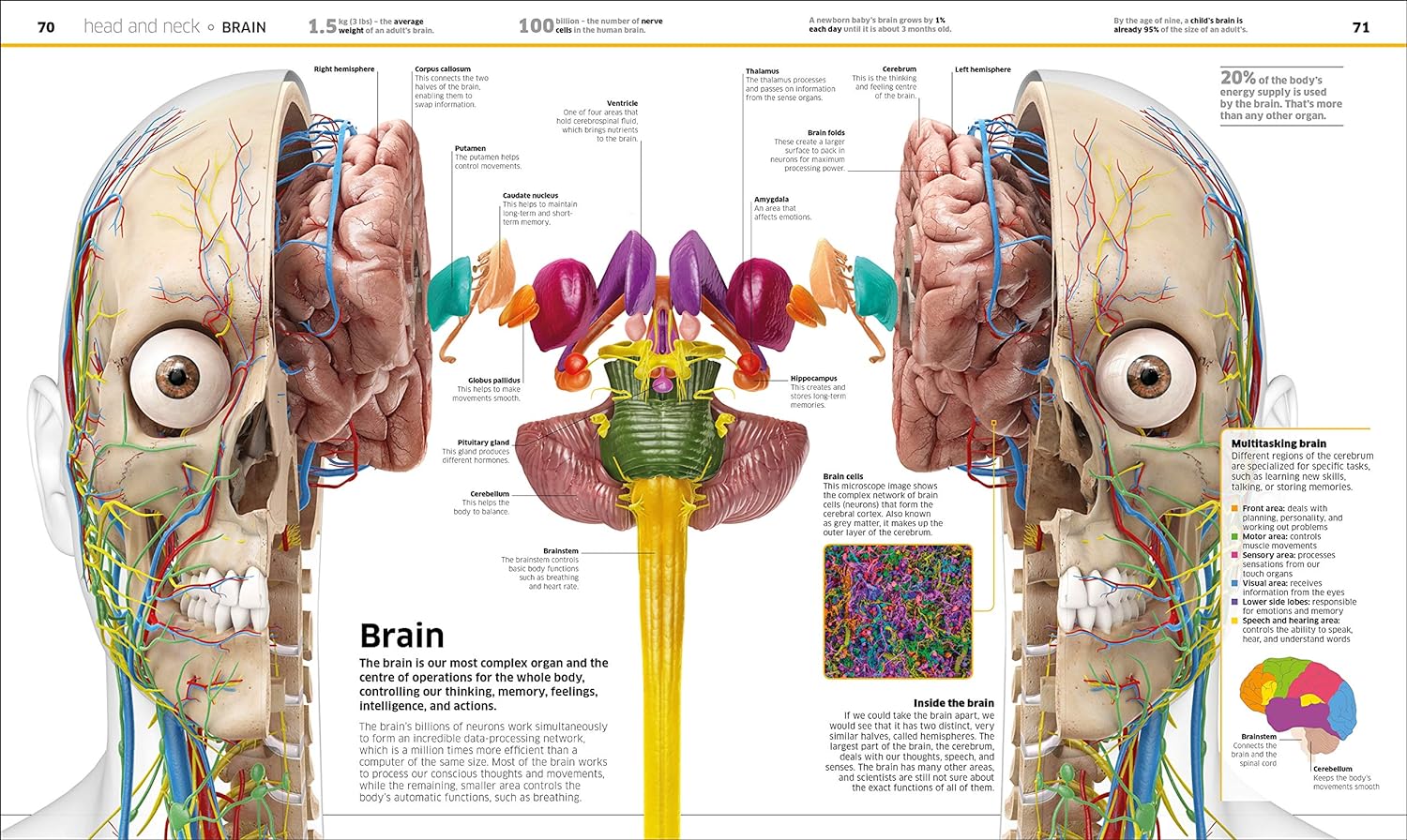 Knowledge Encyclopedia Human Body! by DK - medical science timeline page