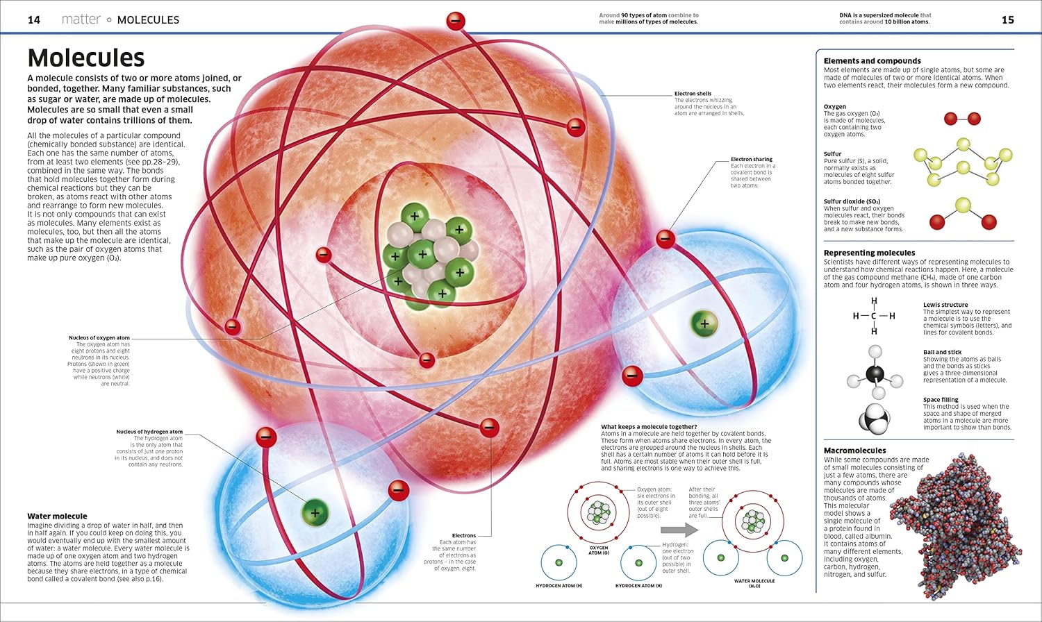 Knowledge Encyclopedia Science by DK - physics and forces illustrated spread for kids