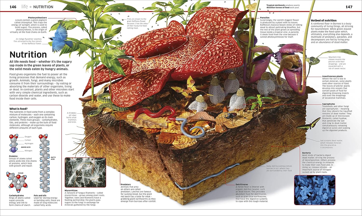 Knowledge Encyclopedia Science by DK - DNA structure and technology spread for children