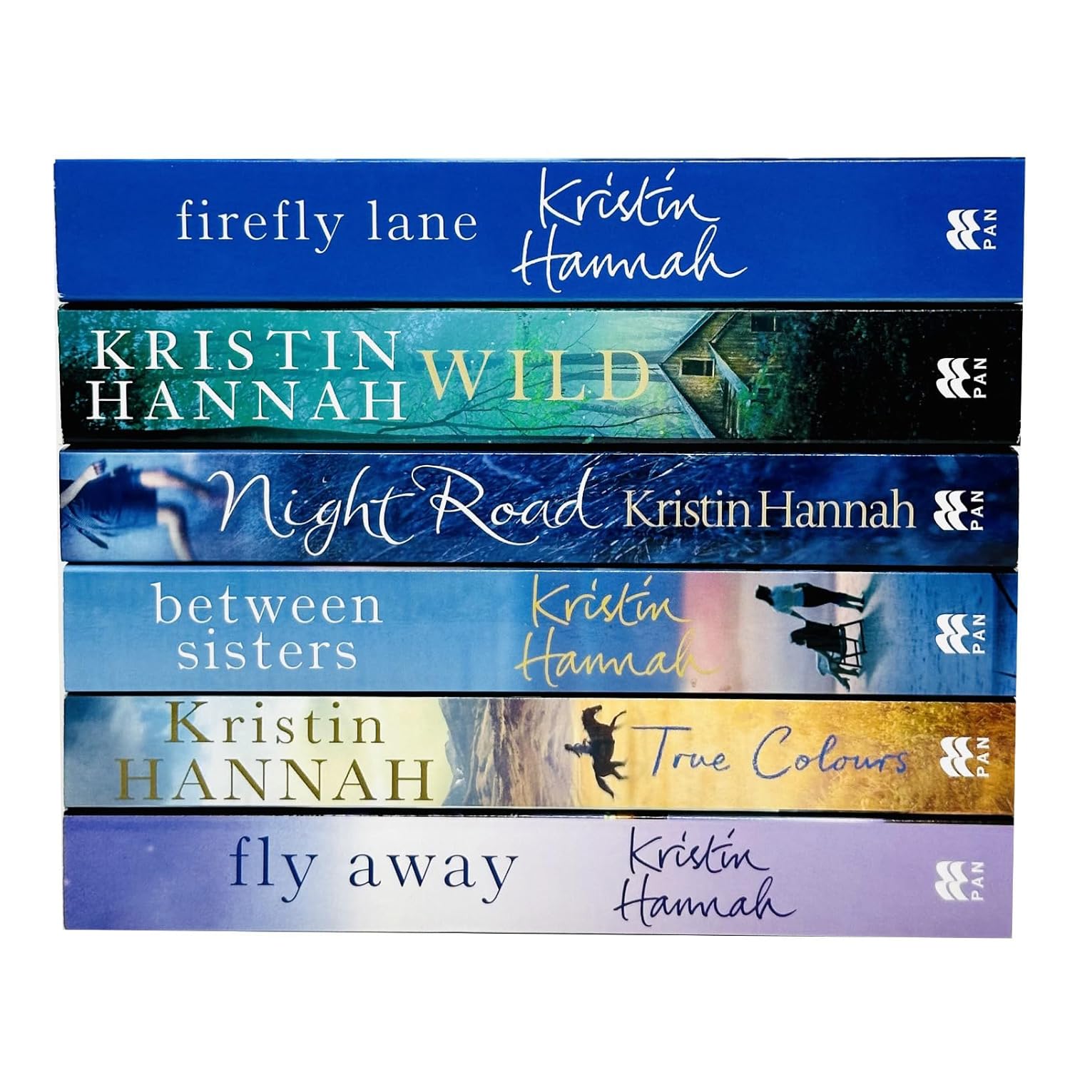 Kristin Hannah 6 book paperback set covers including Firefly Lane and Fly Away - family saga fiction collection