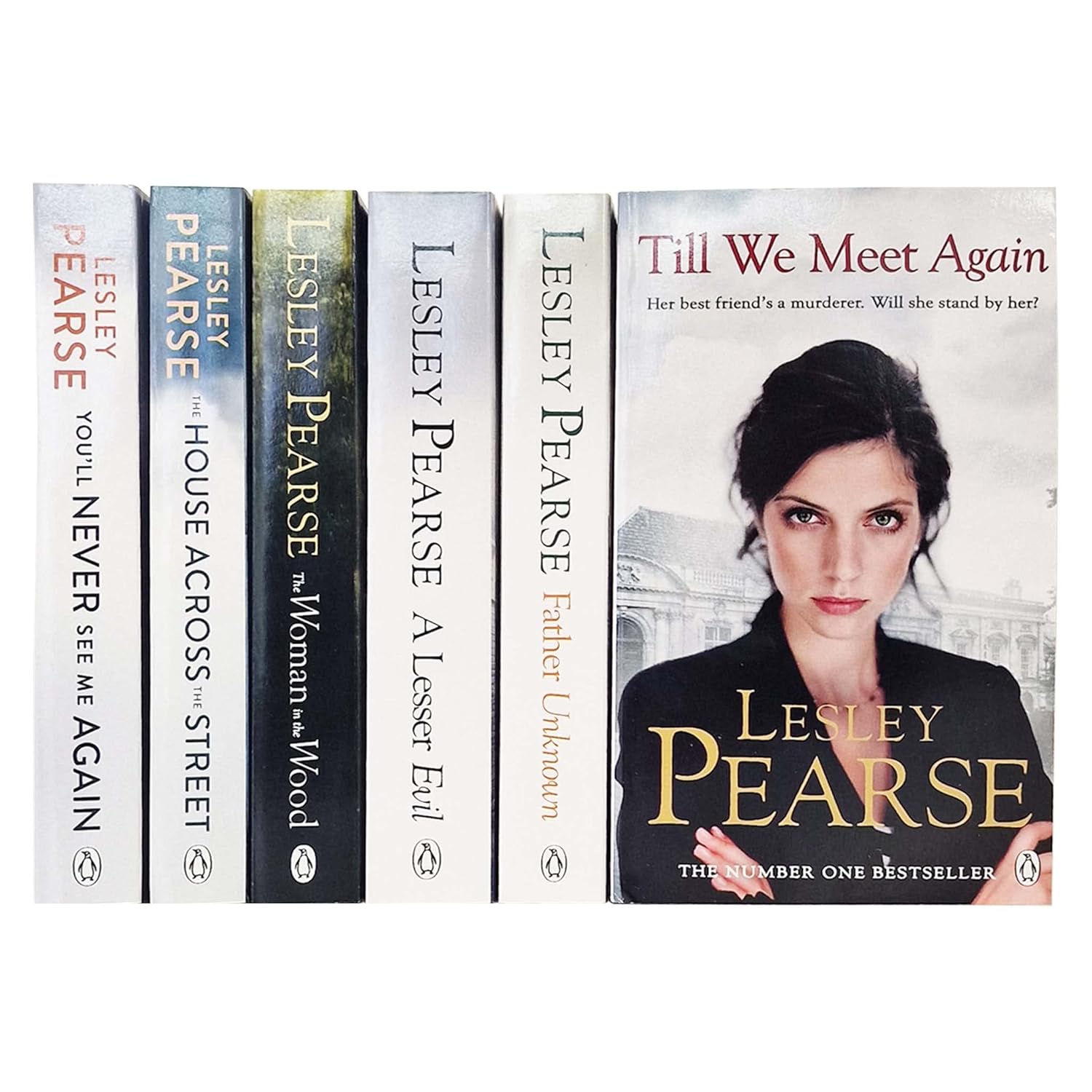 Lesley Pearse 6 Books Collection Set paperback cover featuring Till We Meet Again, Father Unknown, A Lesser Evil, The Woman in the Wood, The House Across the Street and You'll Never See Me Again
