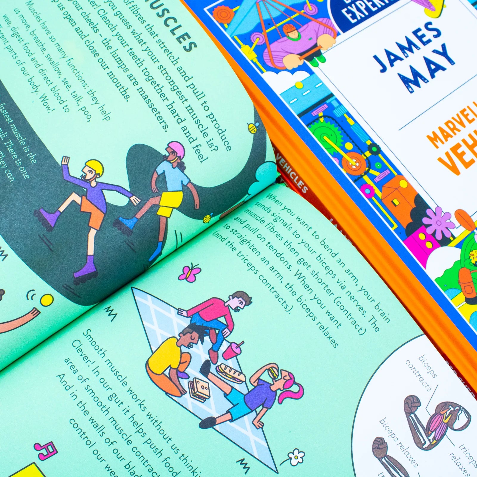 Little Experts collection set spine view - Marvellous Vehicles, Amazing Bodies, Why Money Matters hardback books