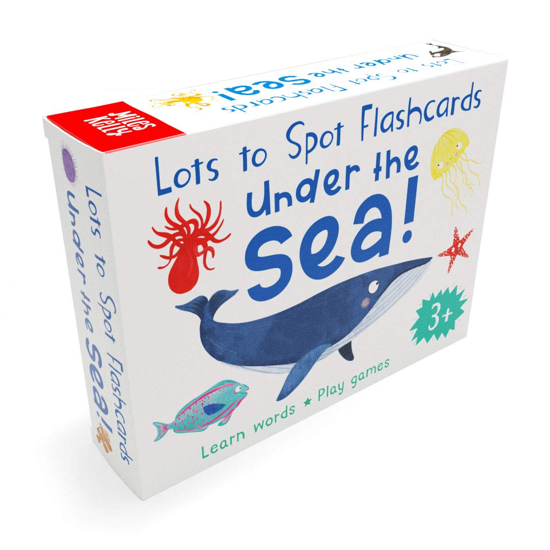 Lots to Spot Flashcards Bugs pack, illustrated first words flashcards for young children