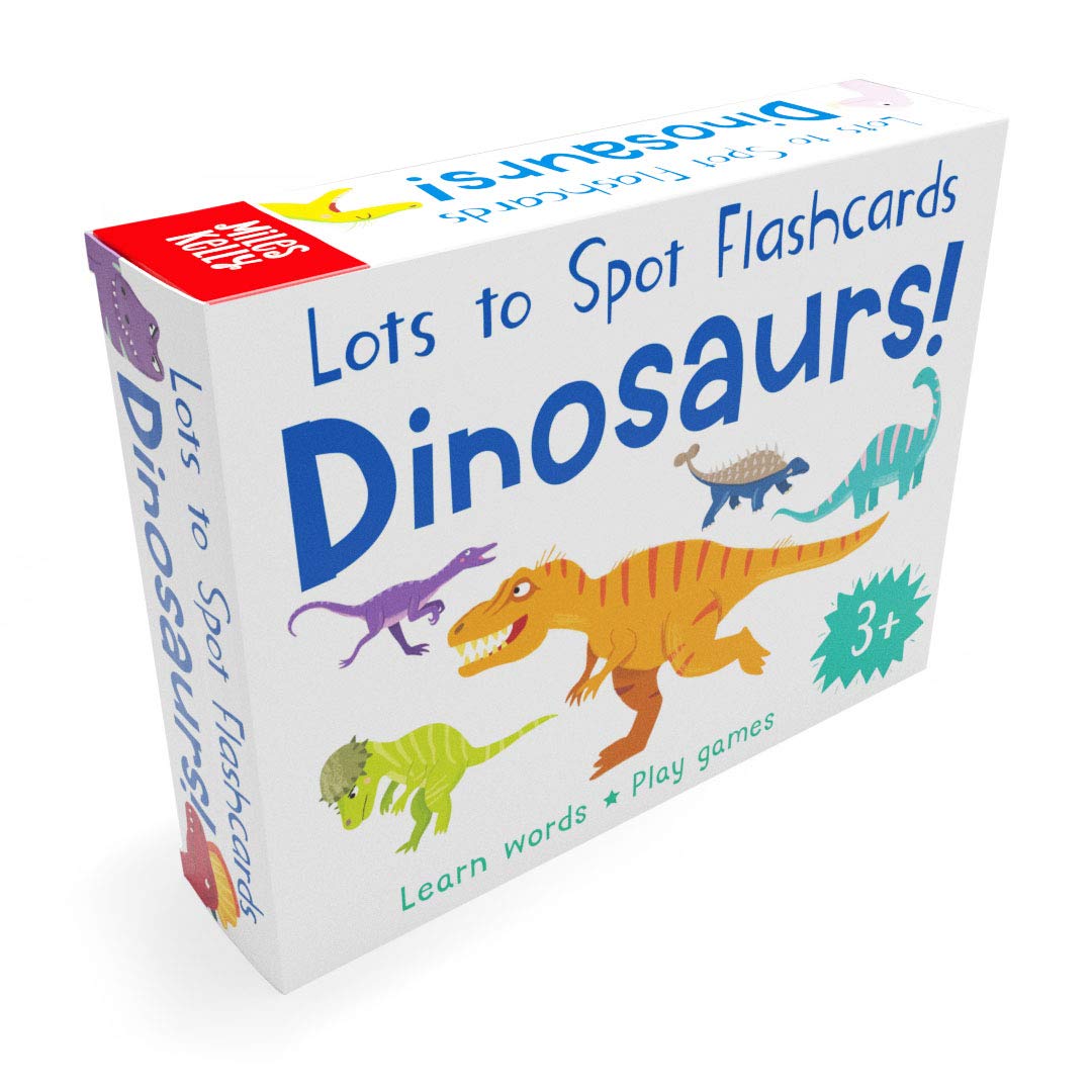 Lots to Spot Flashcards Dinosaur pack, double-sided educational flashcards ages 3-5