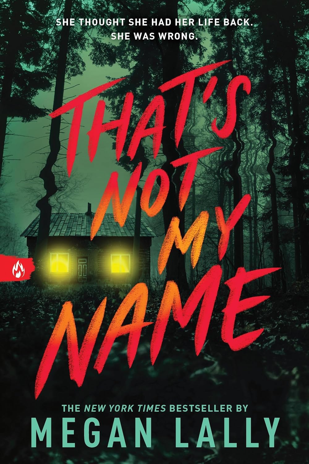 Close up of Megan Lally YA thriller paperback 2 book set - That's Not My Name and No Place Left to Hide