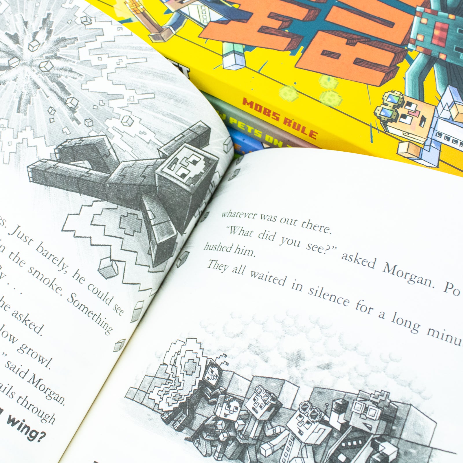 Minecraft Stonesword Saga 5 Books Collection Set by Nick Eliopulos - close up of paperback set covers