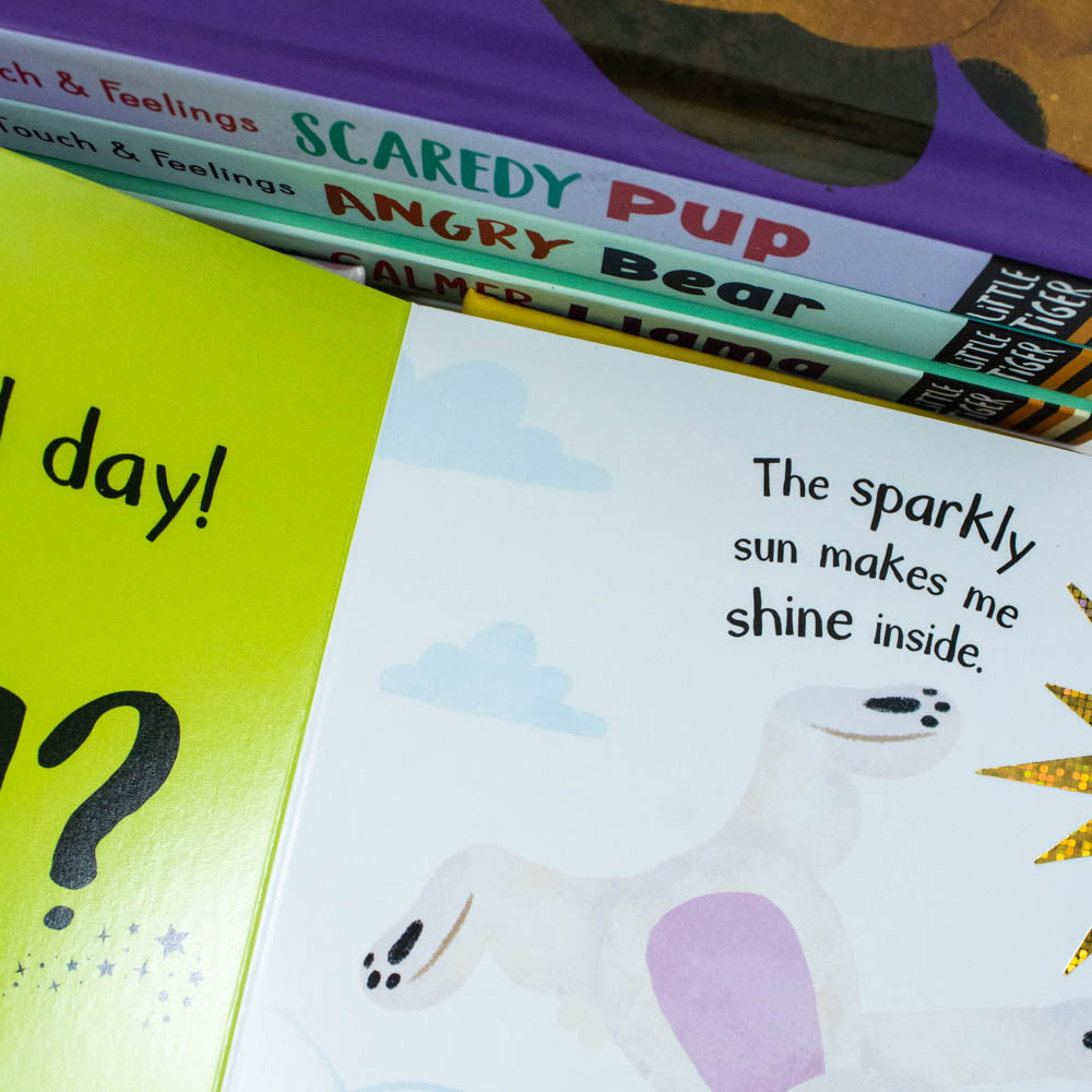 My First Behaviours Touch & Feelings 4 book box set packaging by Dr Naira Wilson