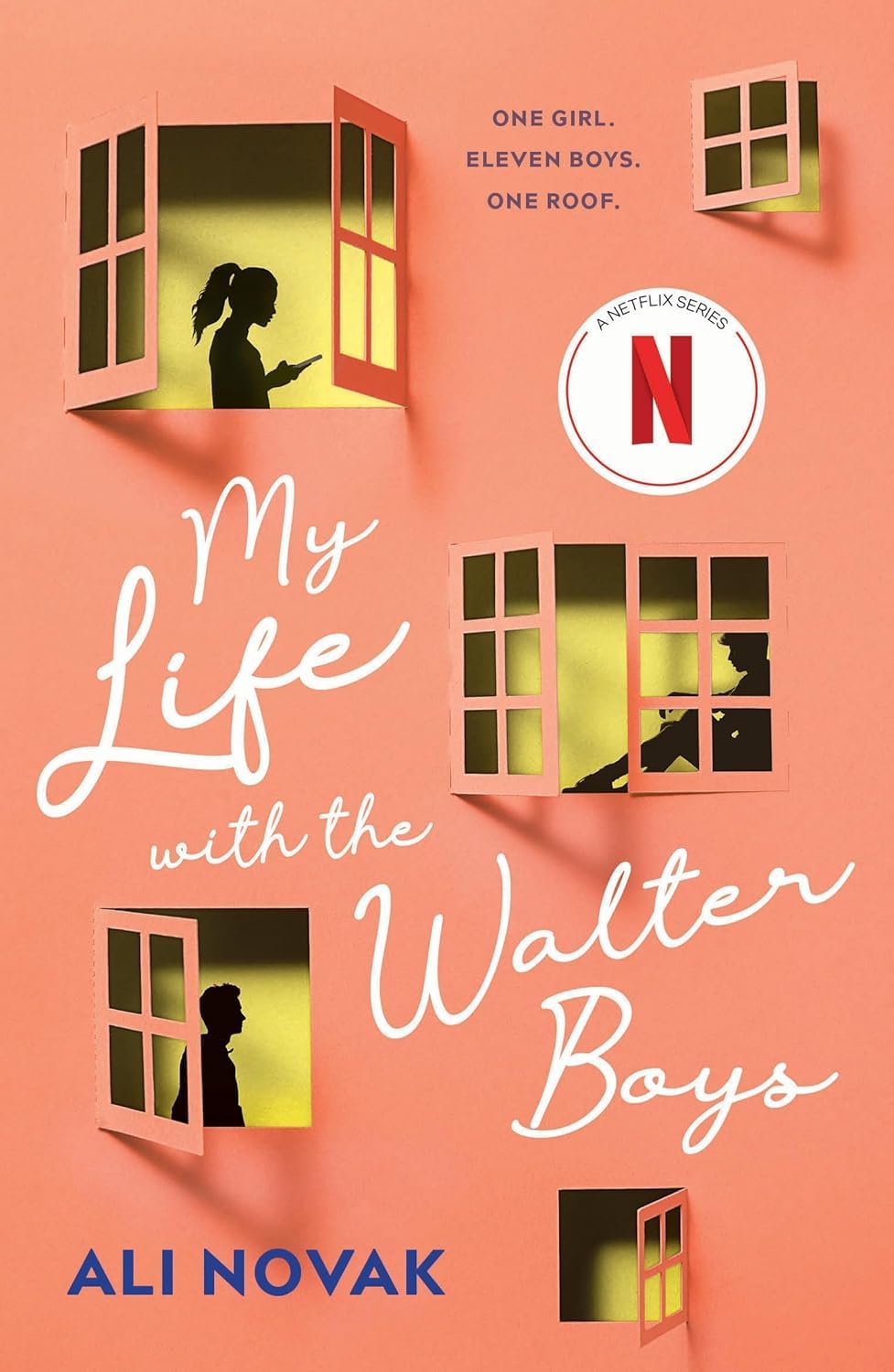 My Life with the Walter Boys and My Return to the Walter Boys paperback books by Ali Novak