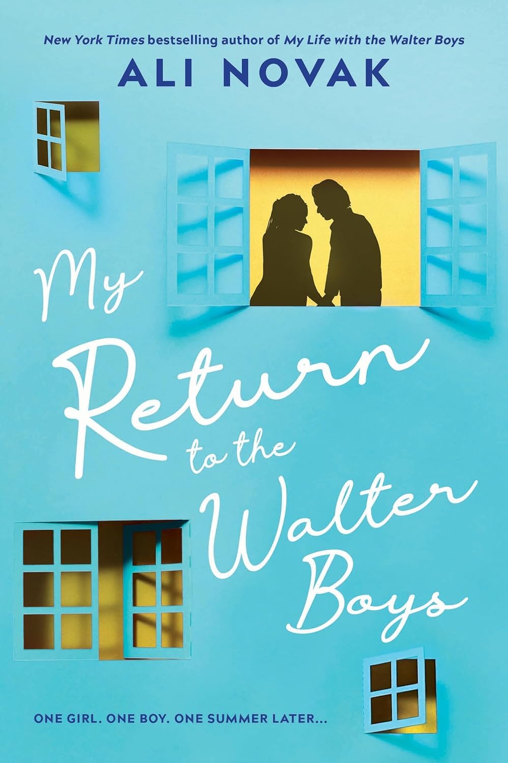 Ali Novak Walter Boys series 2 book paperback set - young adult romance collection