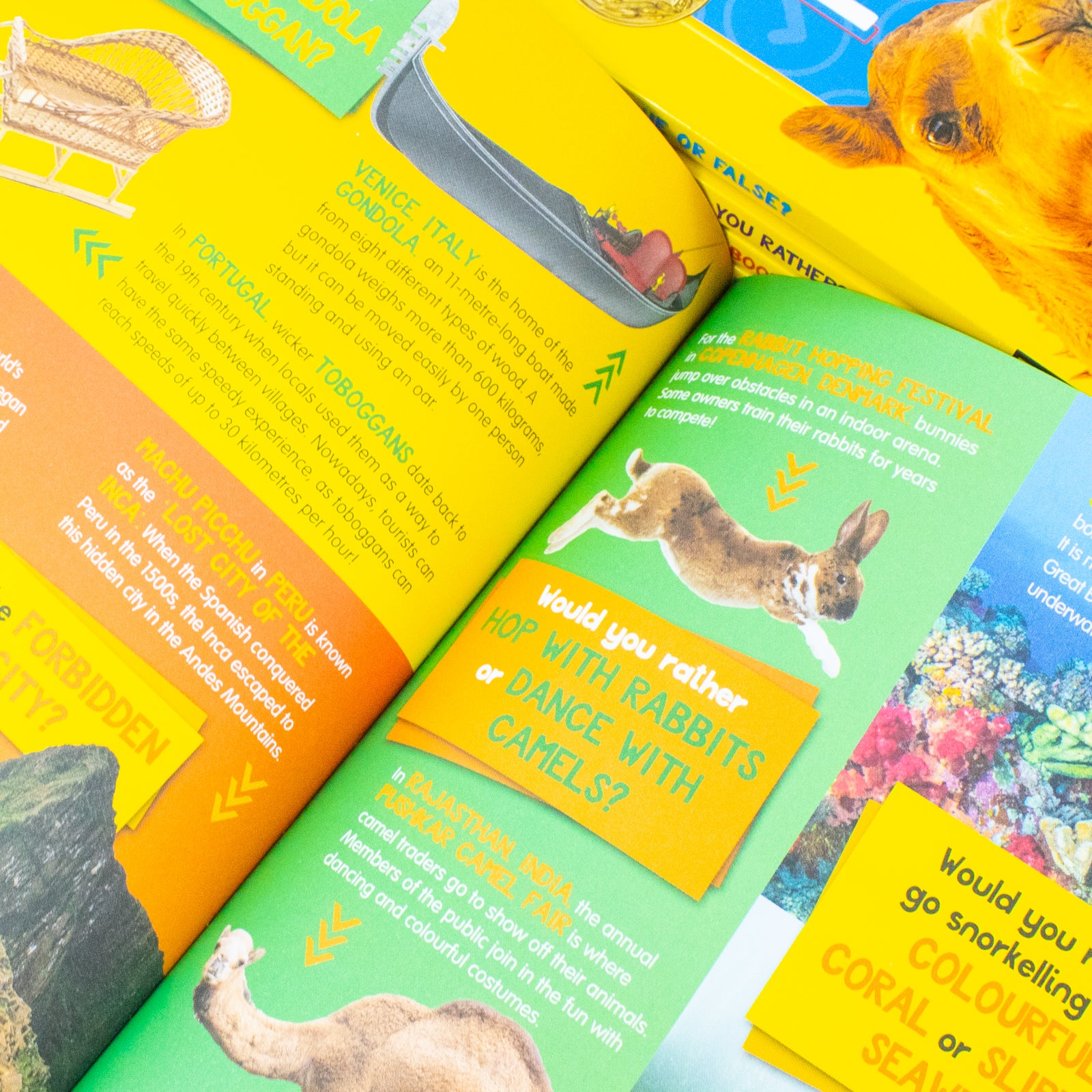 National Geographic Kids Animal Riddles Jokes and Would You Rather 5 book set stacked paperback books