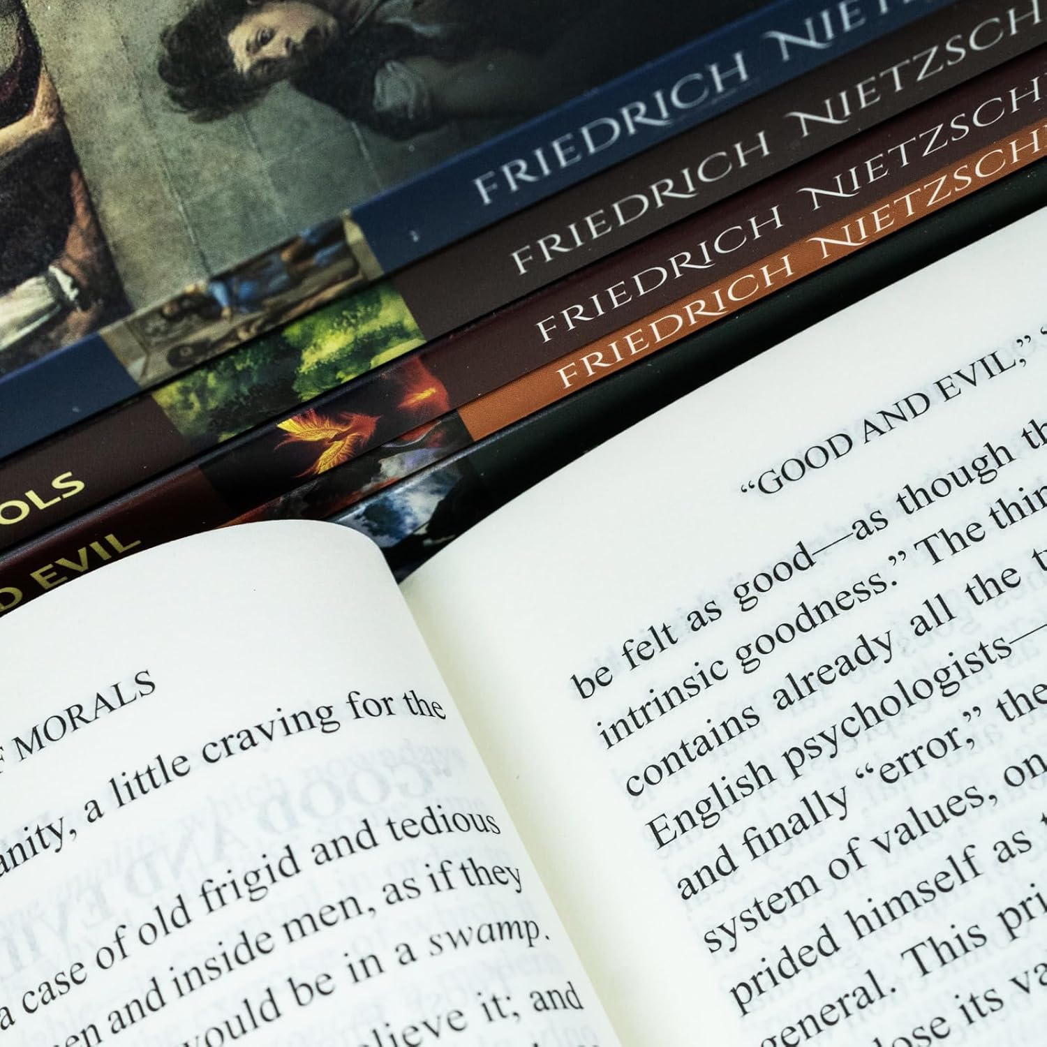 Full Nietzsche complete works 6 book collection set paperback edition