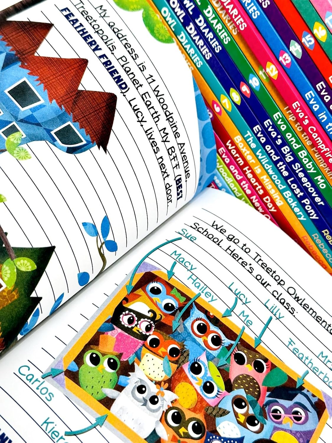 Owl Diaries 18 books collection set by Rebecca Elliott - full paperback set display for young readers
