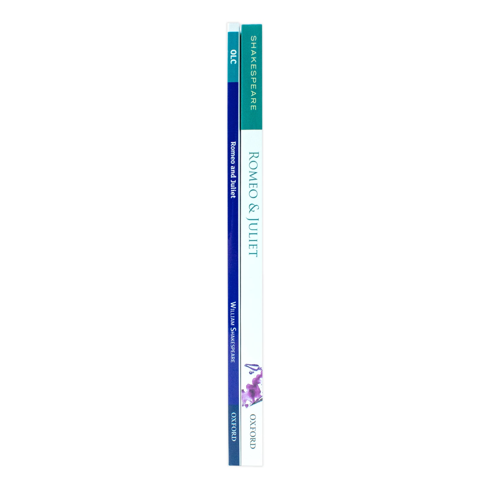 Oxford School Shakespeare Romeo and Juliet paperback and Oxford Literature Companions study guide - 2 book GCSE set