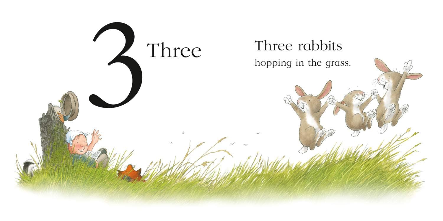 Percy the Park Keeper Early Learning 4 Book Set - ABC, 123, Colours, Opposites - back cover and book details